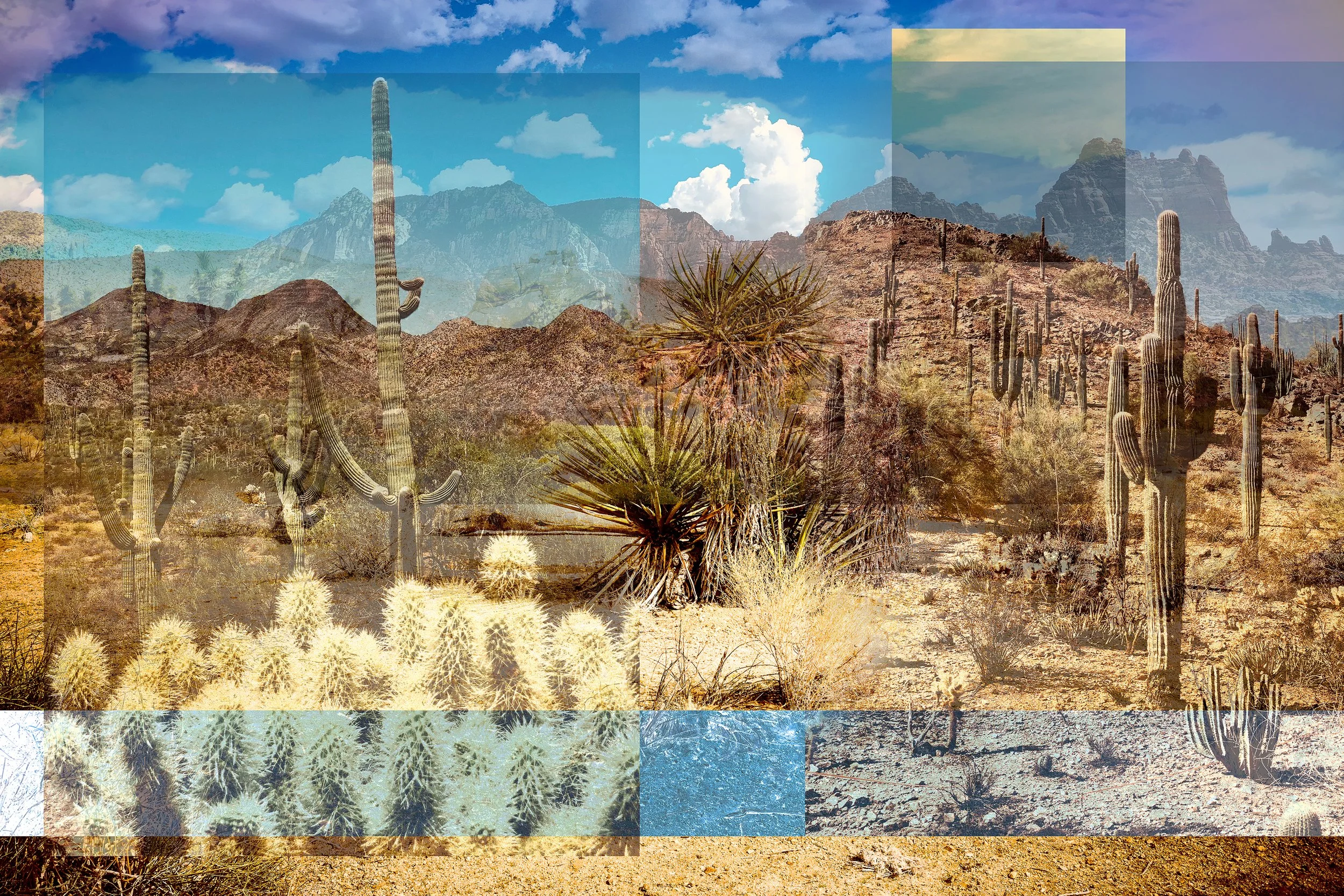 CACTUS MOUNTAIN SCAPE AMAZON 40 X 60 PRINT copy.jpg