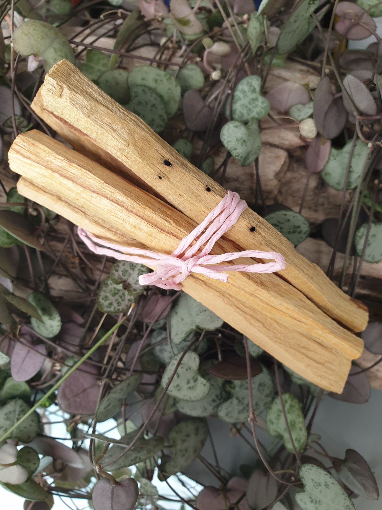 Palo Santo Sticks