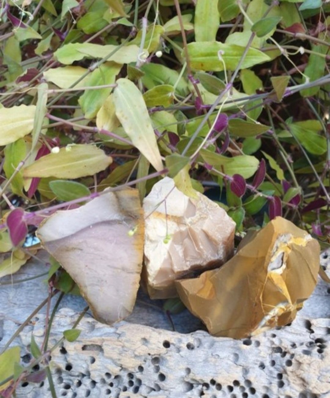 Mookaite Raw - Reiki Infused