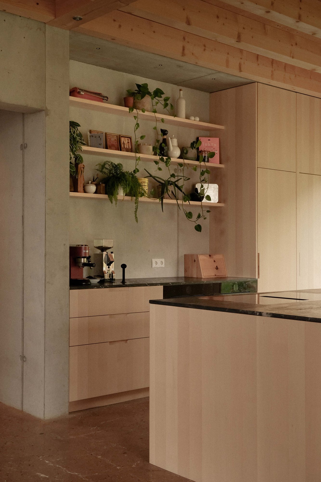 Moderne Küche mit offenen Holzregalen, die mit Pflanzen, Büchern und Dekorationsgegenständen dekoriert sind, und einem Küchenbereich mit dunklem Stein-Arbeitsplatte.