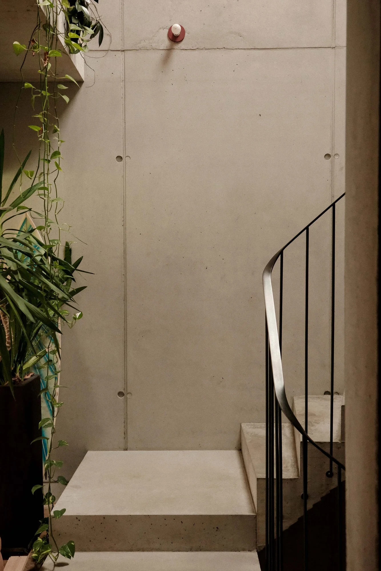 Innenaufnahme eines Treppenhauses mit Pflanzen, einer schwarzen Stahltreppe und einer grauen Betondecke.