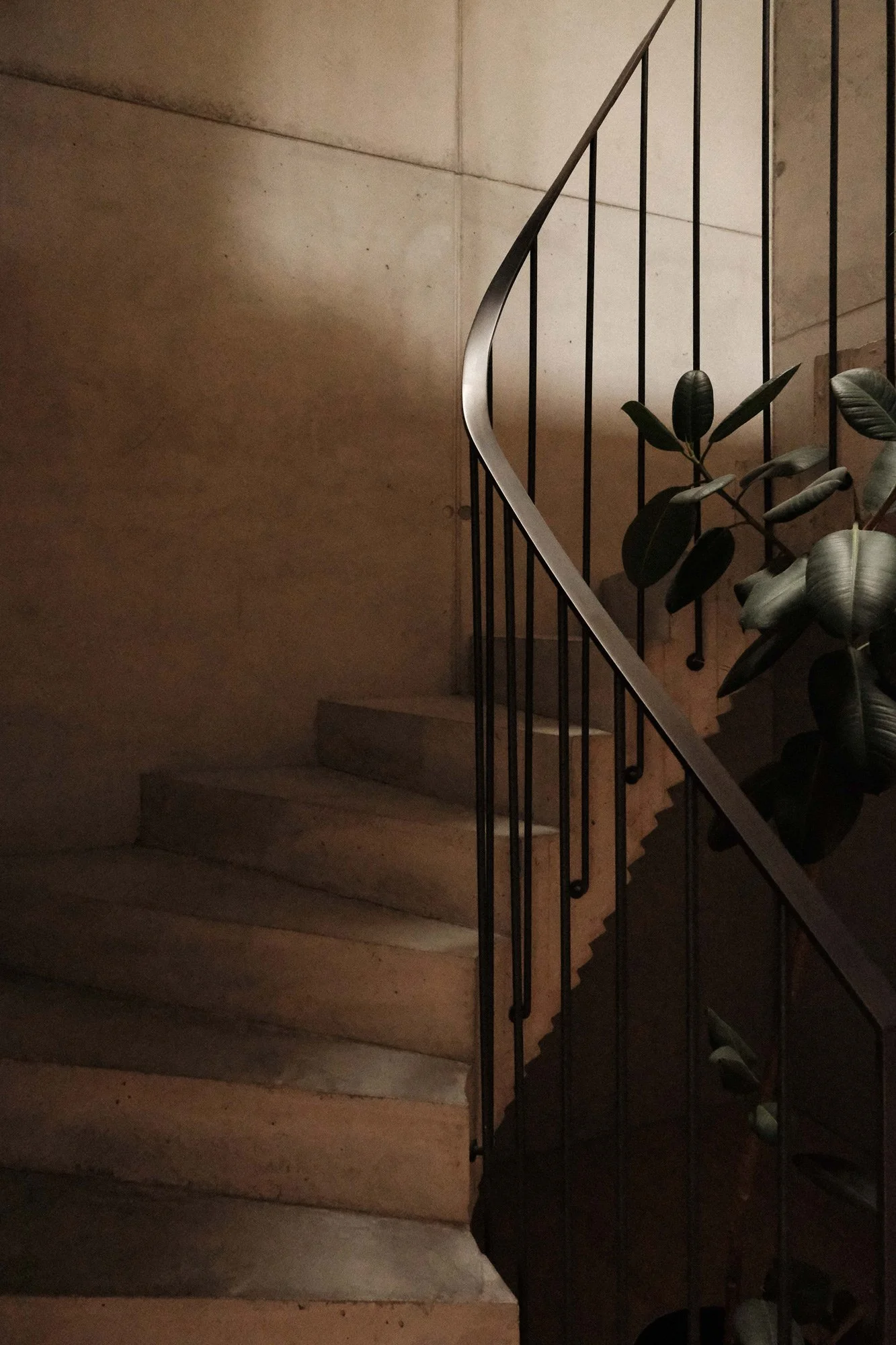Innentreppenhaus mit steinerner Treppe, schwarzes Metallgeländer und eine Pflanze mit großen, dunklen Blättern, gedämpftes Licht.