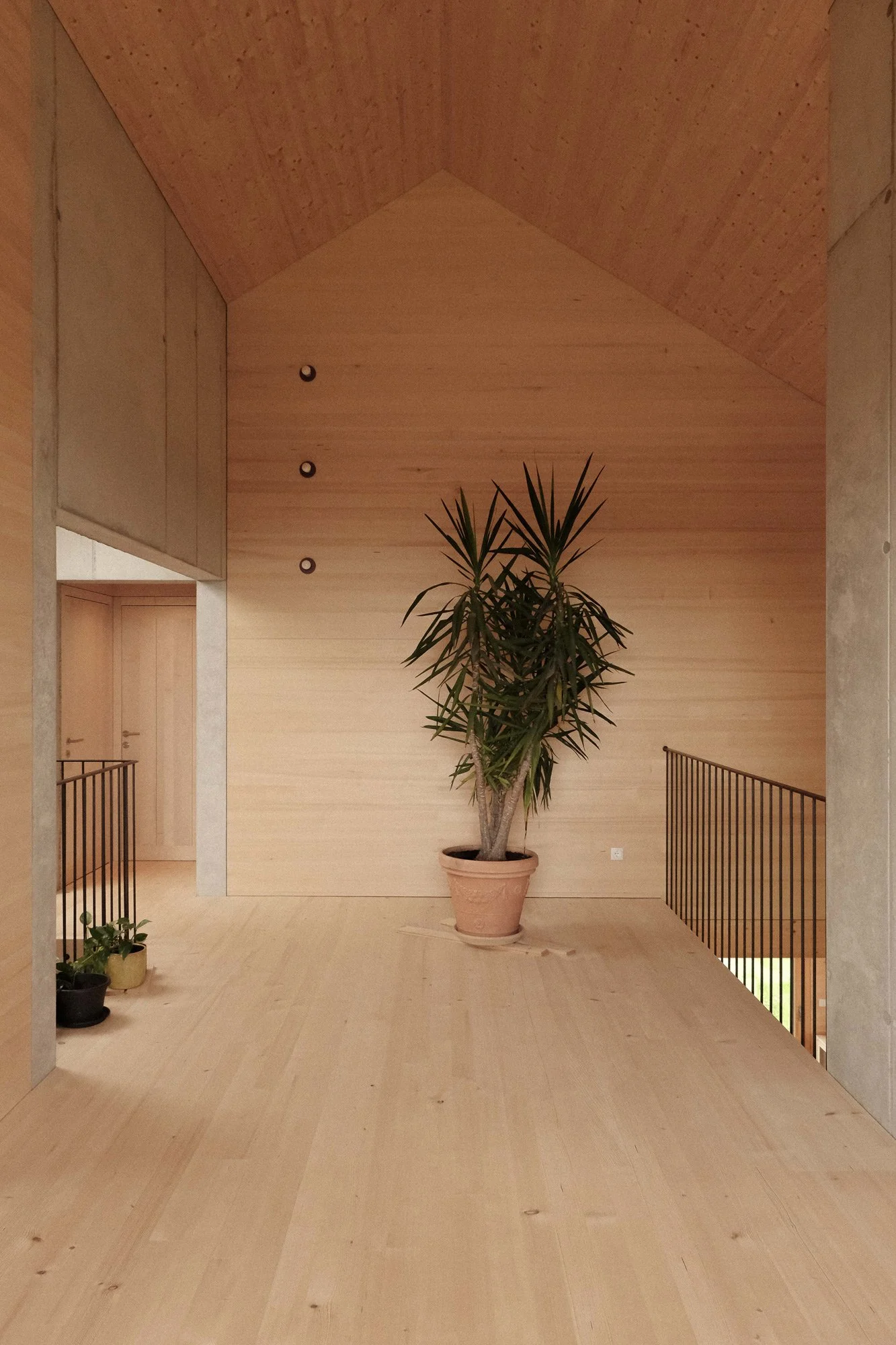 Ein heller, moderner Innenraum mit Holzvertäfelung an Wänden und Decke, einer großen Topfpflanze in der Mitte, und einem Halbring mit Pflanzen auf der linken Seite.