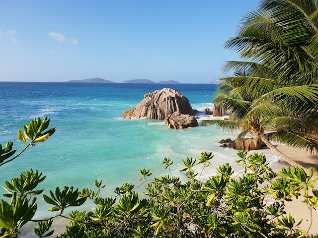 Seychelles Is a Soft Feminine Frequency Not a Destination. Here’s What It Unlocks in You