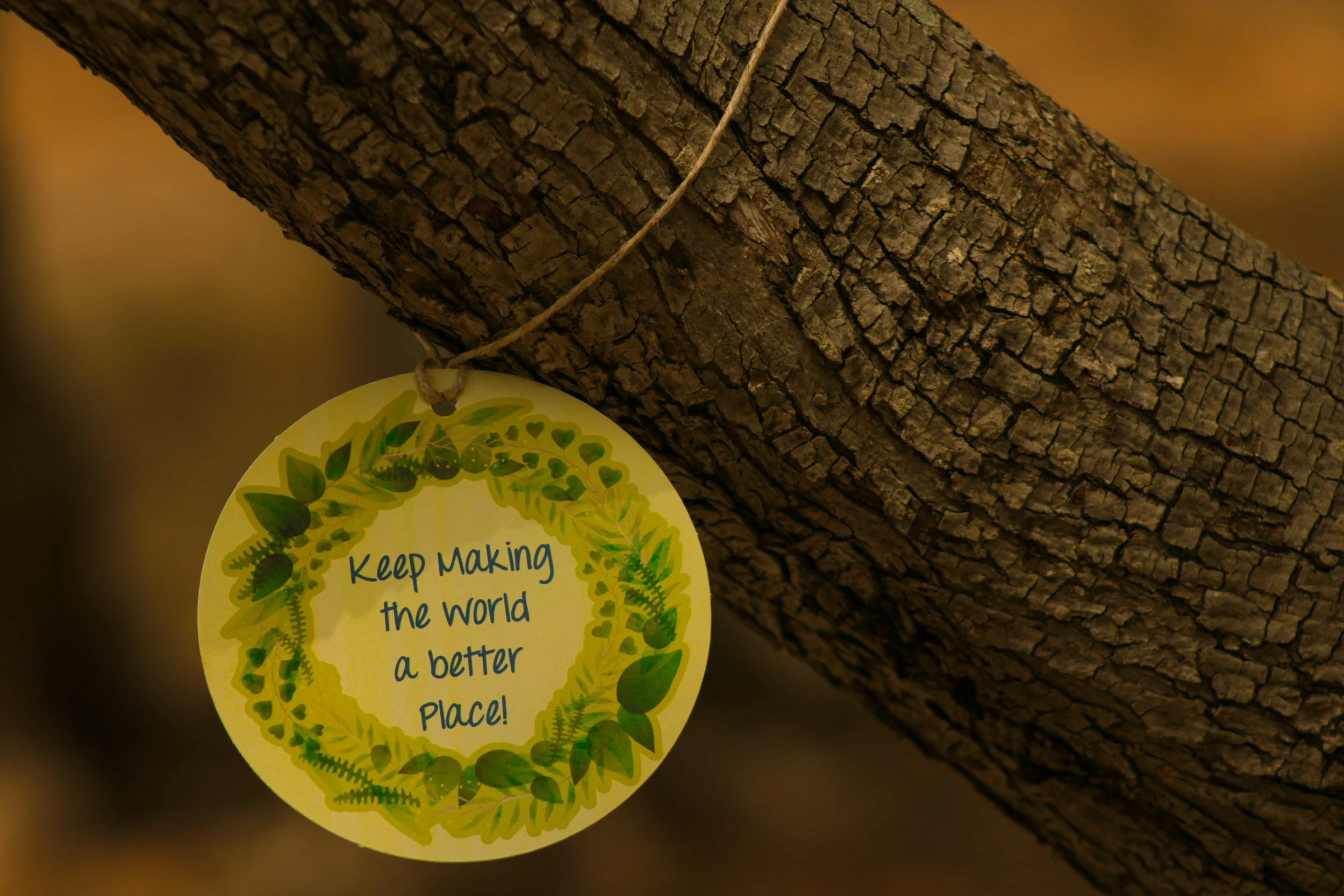 What is the importance of environmental literacy in education, and how is it evolving?