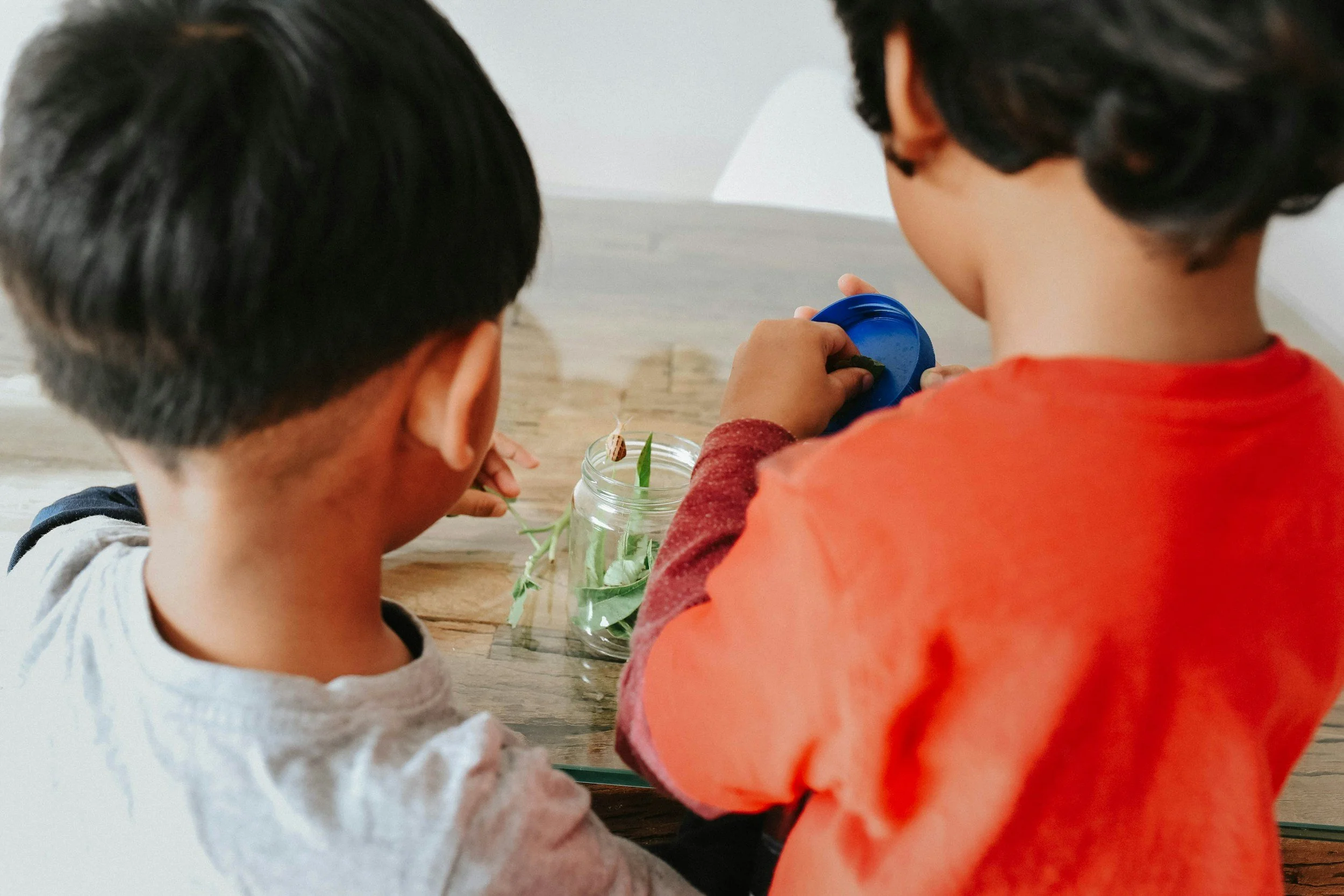 How can educators implement project-based STEM learning without significant financial resources?