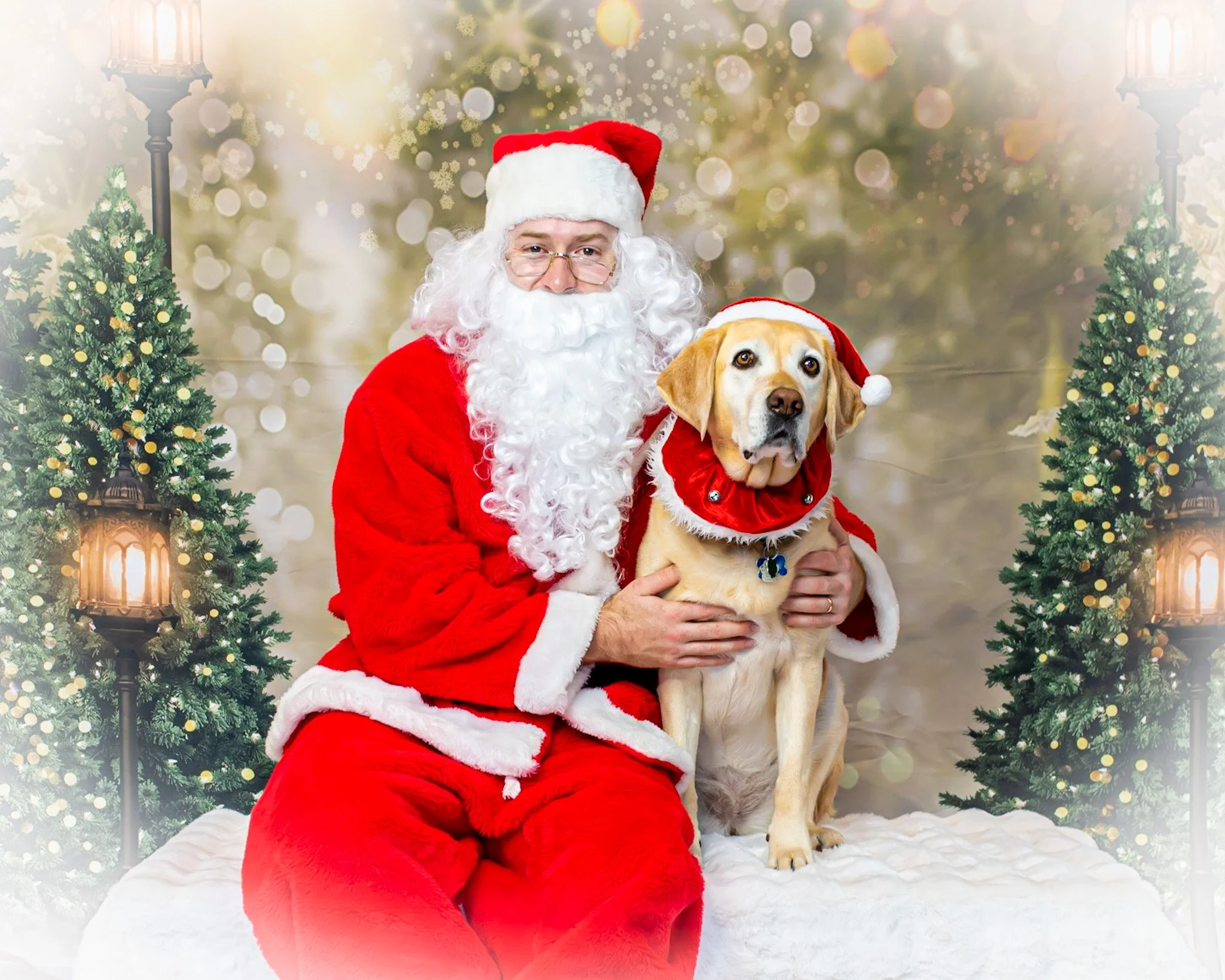 Annual Santa Paws Photos and Festive Holiday Sip & Shop