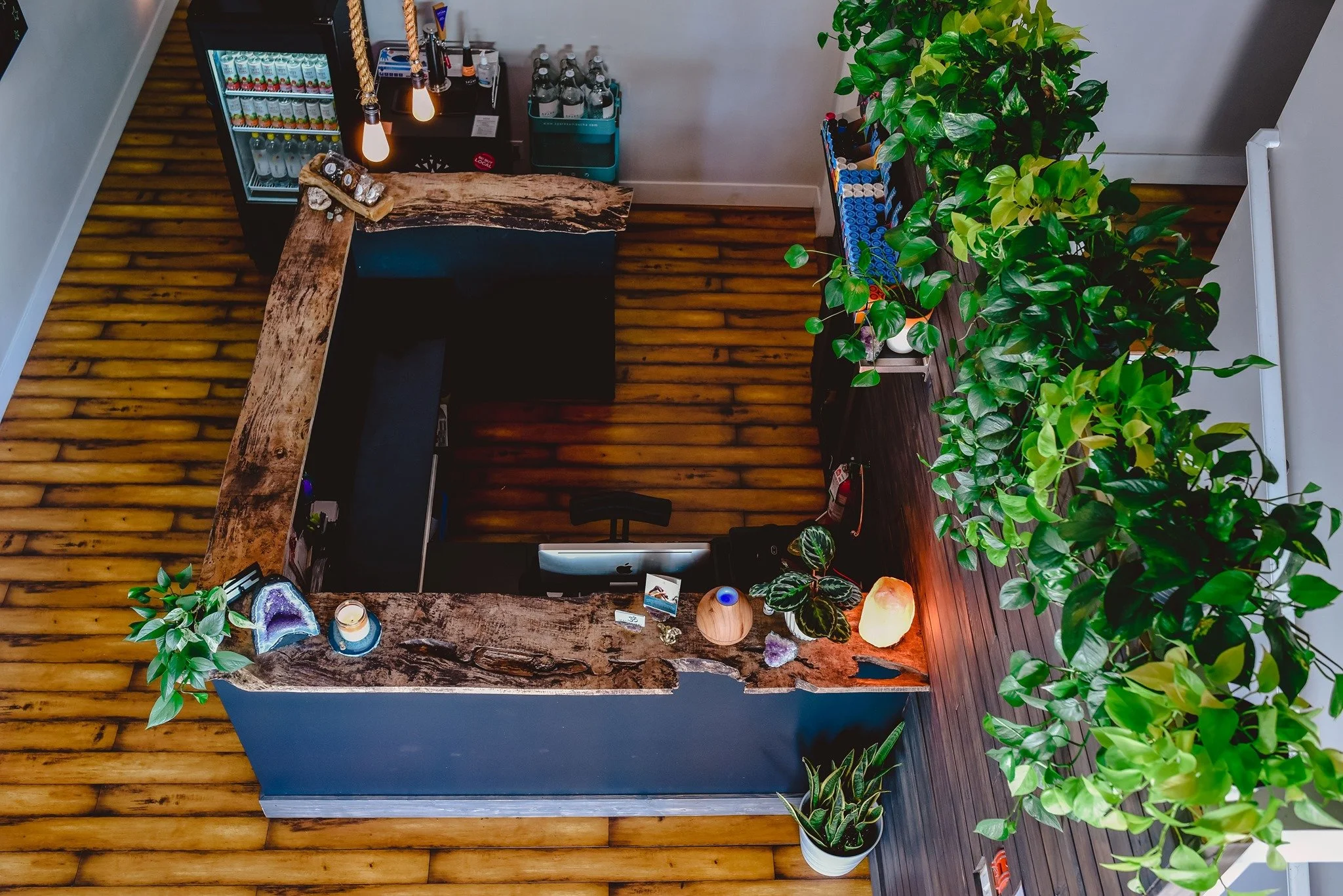 March 2026 Newsletter