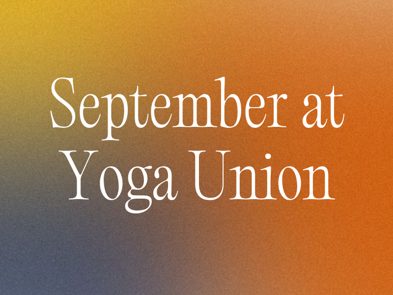 September 2026 Newsletter