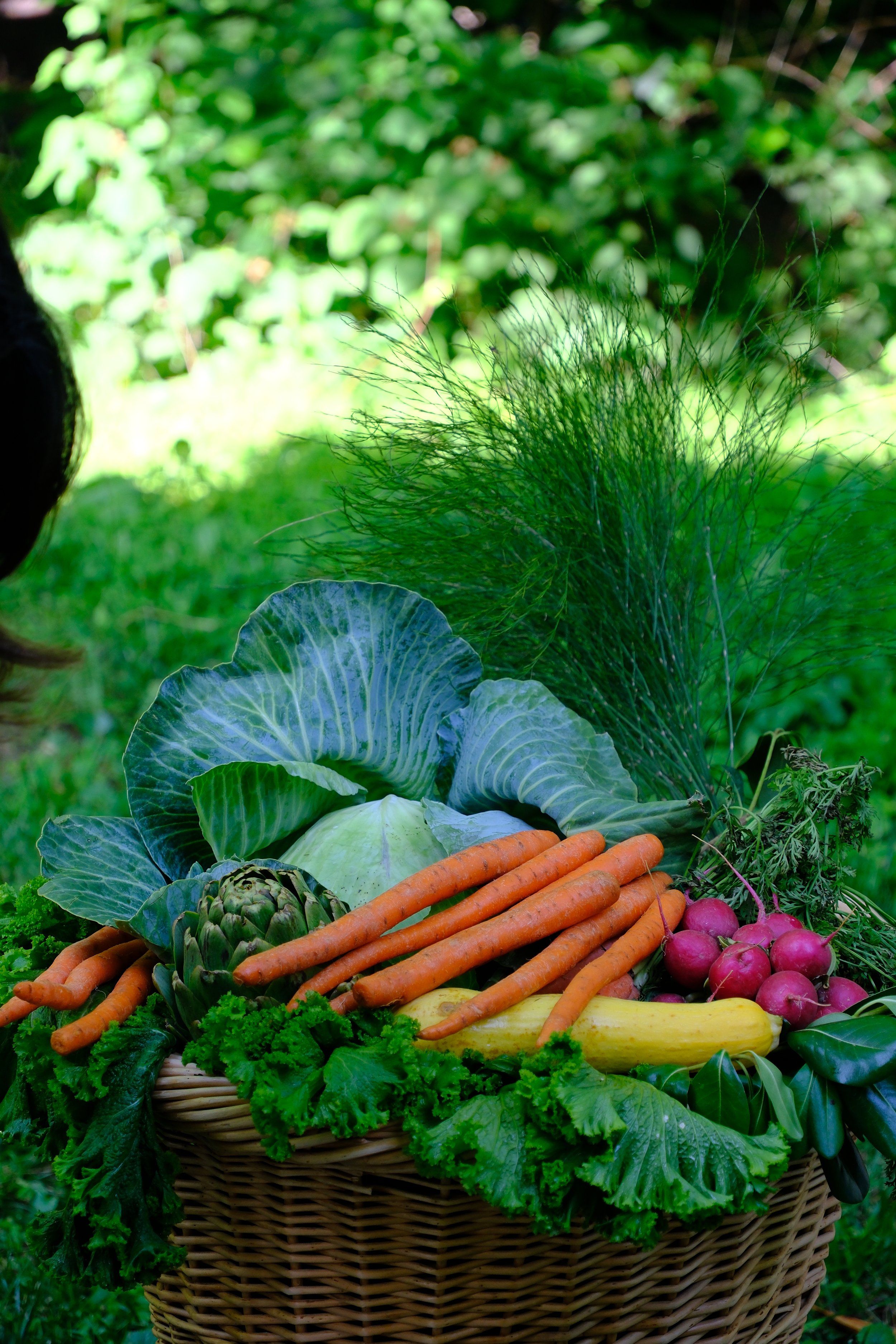 Bring storybook charm to life with our Peter Rabbit-inspired décor, featuring whimsical bunny figures, lush garden vegetables, and fresh floral arrangements. Perfect for baby showers, birthdays, and spring celebrations, this enchanting setup blends r