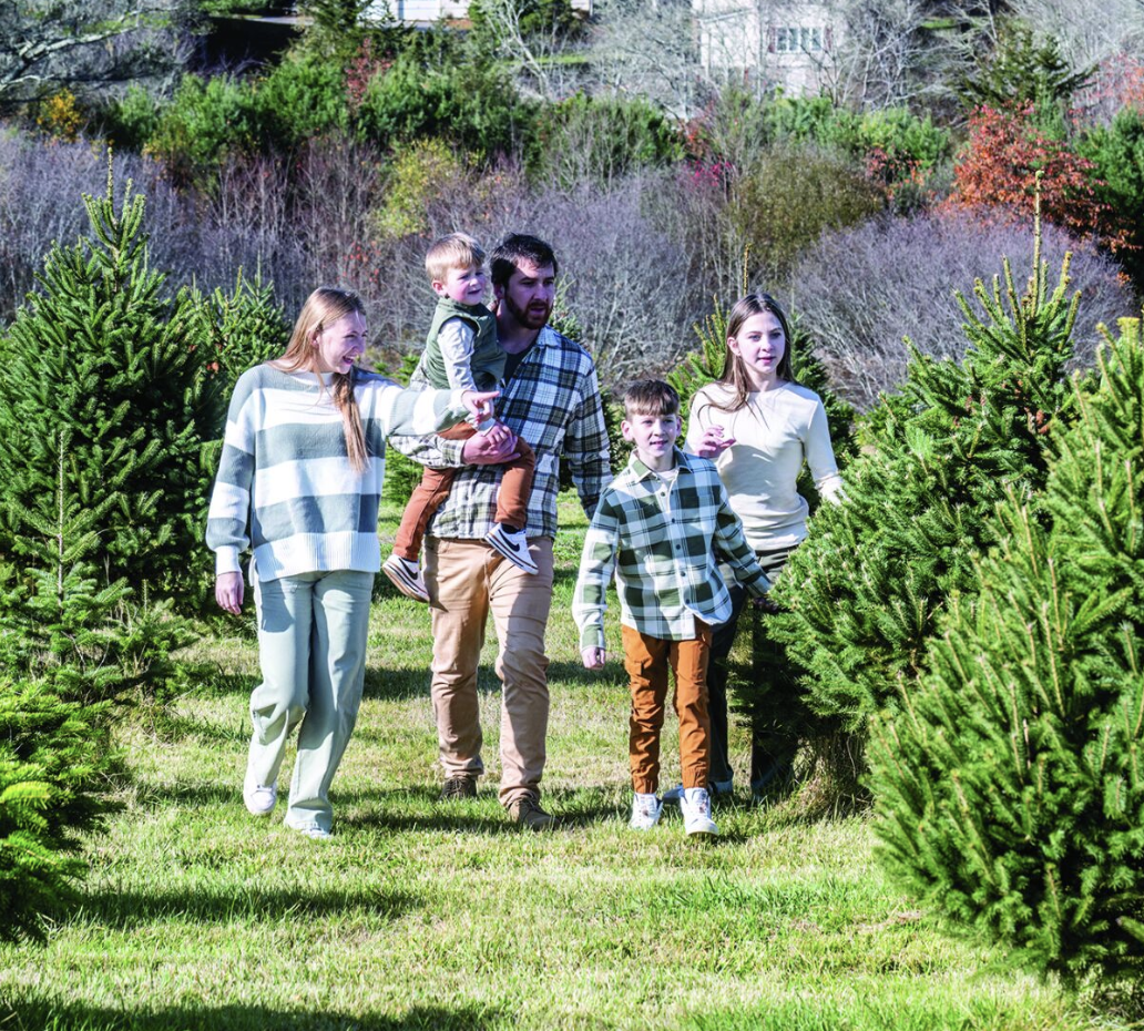 The Independent / At Riverside Tree Farm, picking your Christmas Tree is a chance to create the perfect holiday memory