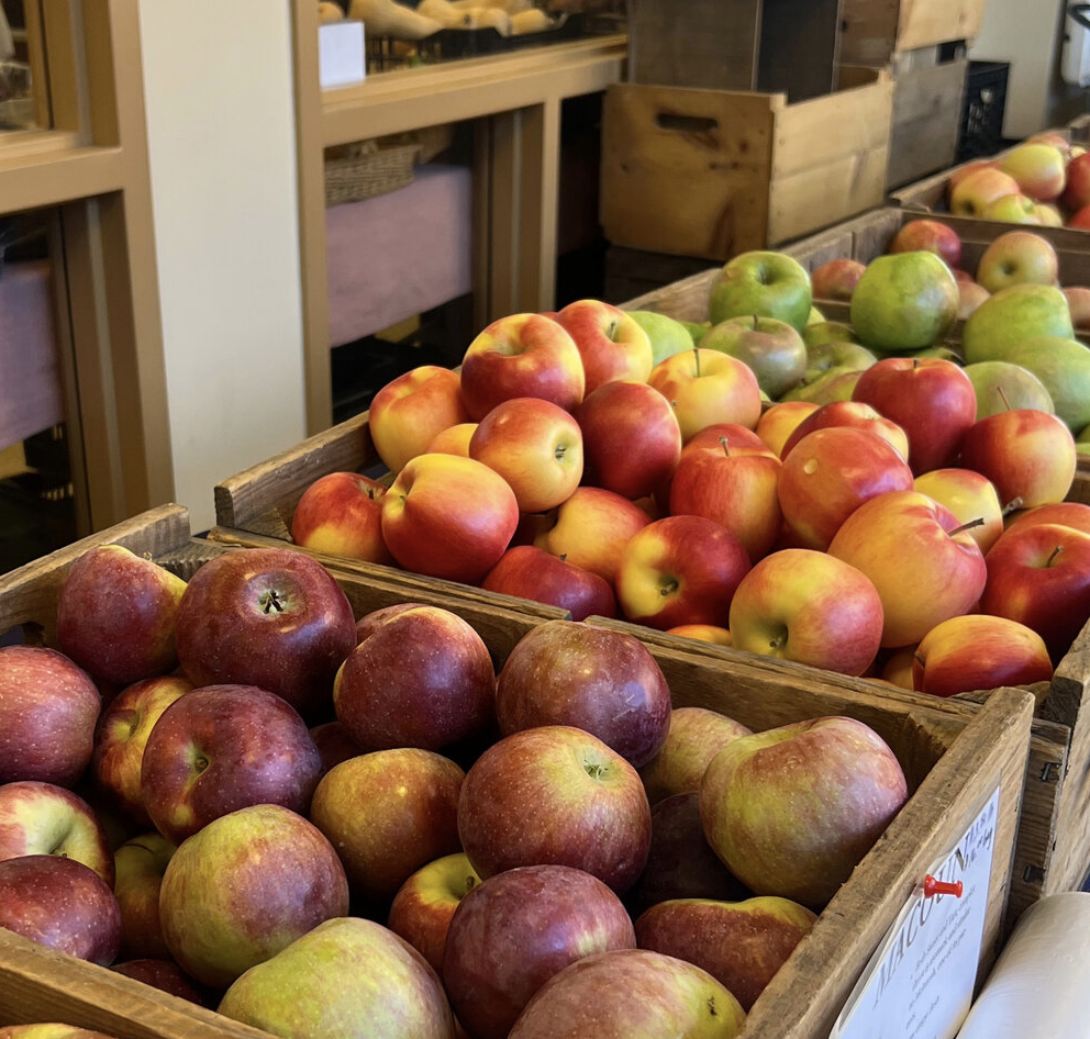 So Rhode Island / Wintertime Saturdays at South Kingstown Farmers Market