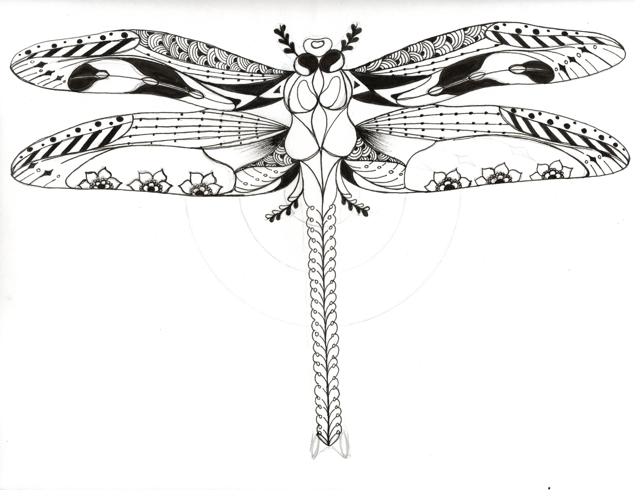 Black and white line drawing of a dragonfly with intricate patterns on its wings and body, including floral details.