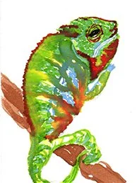 chamelmeon72.jpg