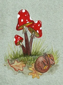 doormouse72.jpg