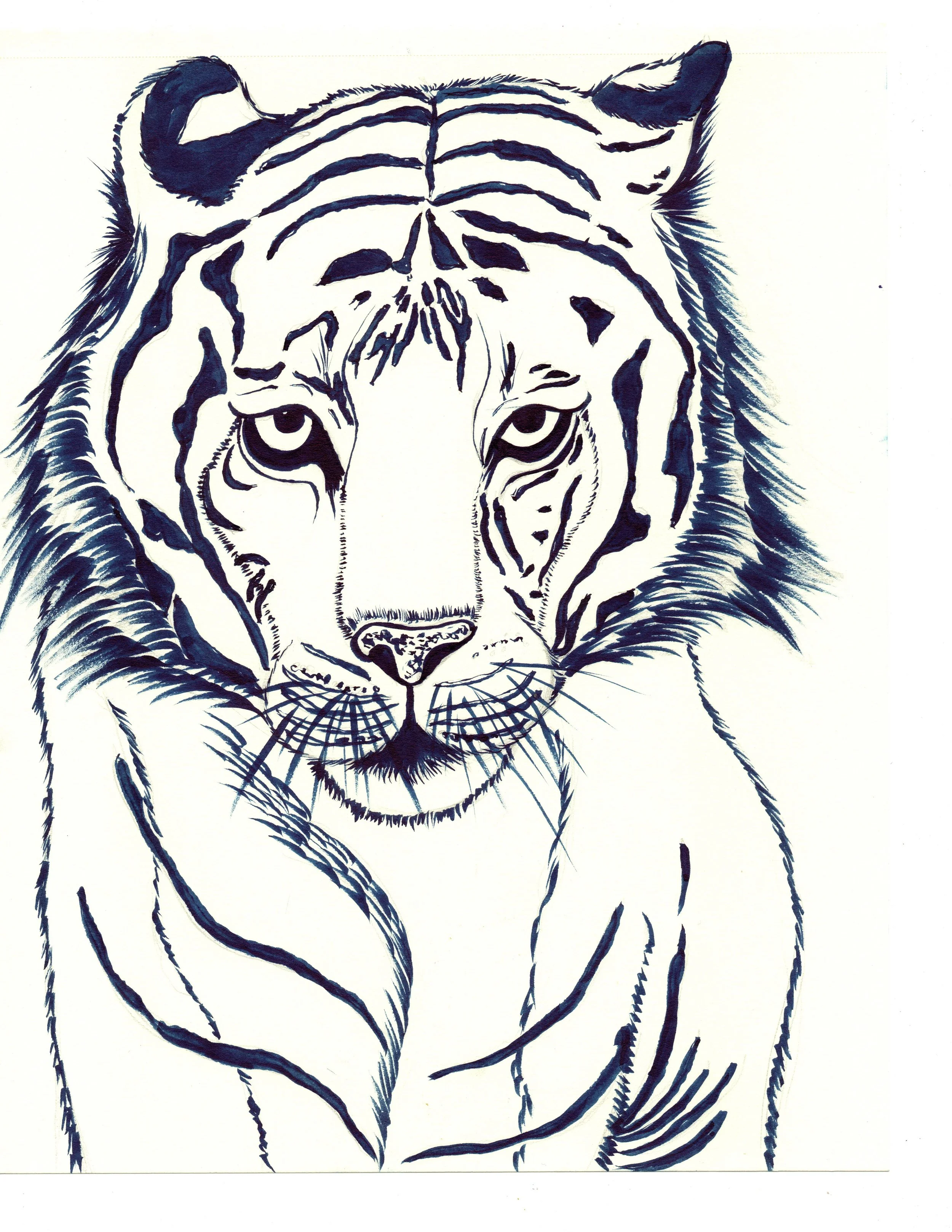 Line drawing of a tiger's face with detailed stripes and intense eyes.