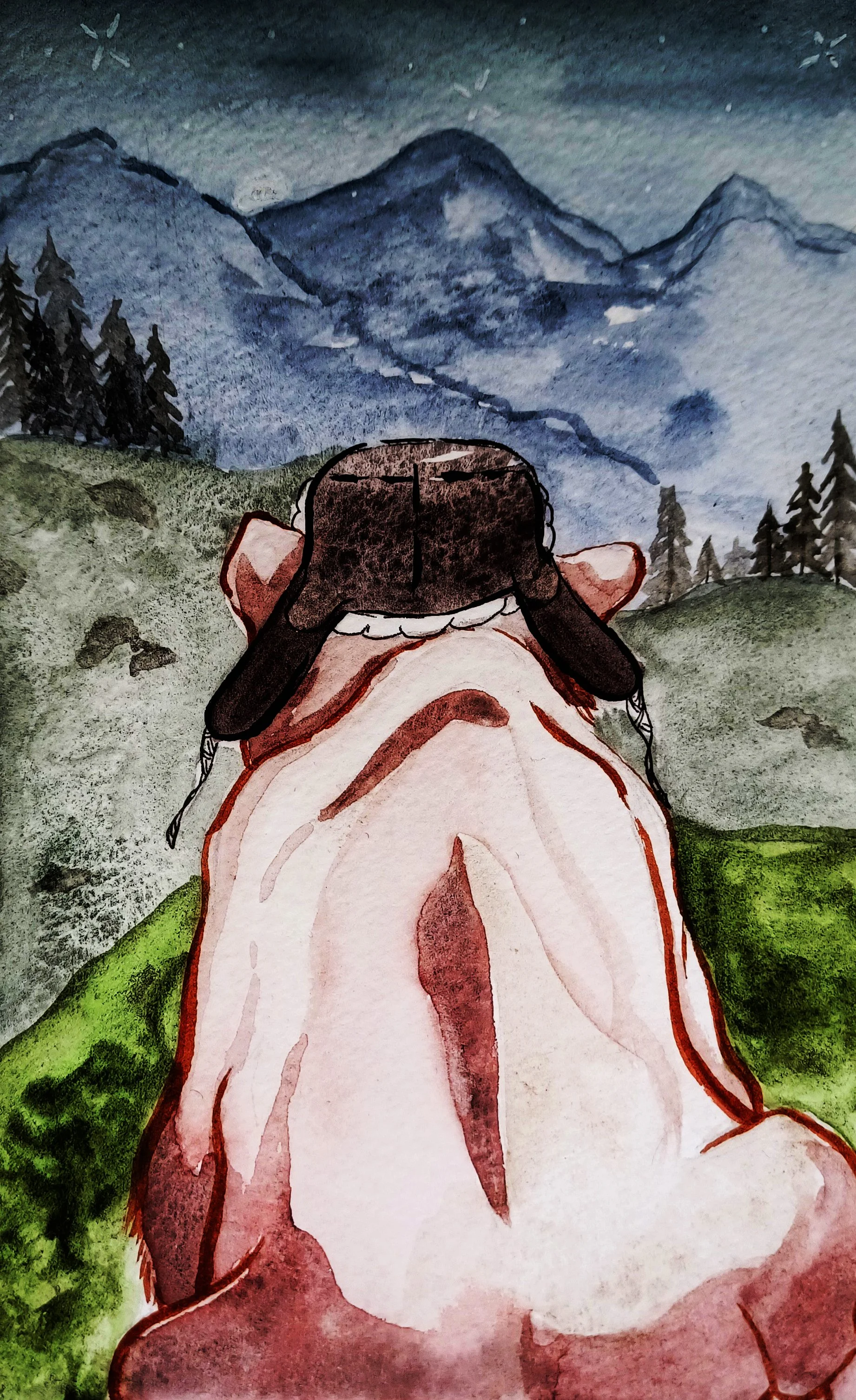 grizzly bear star.jpg