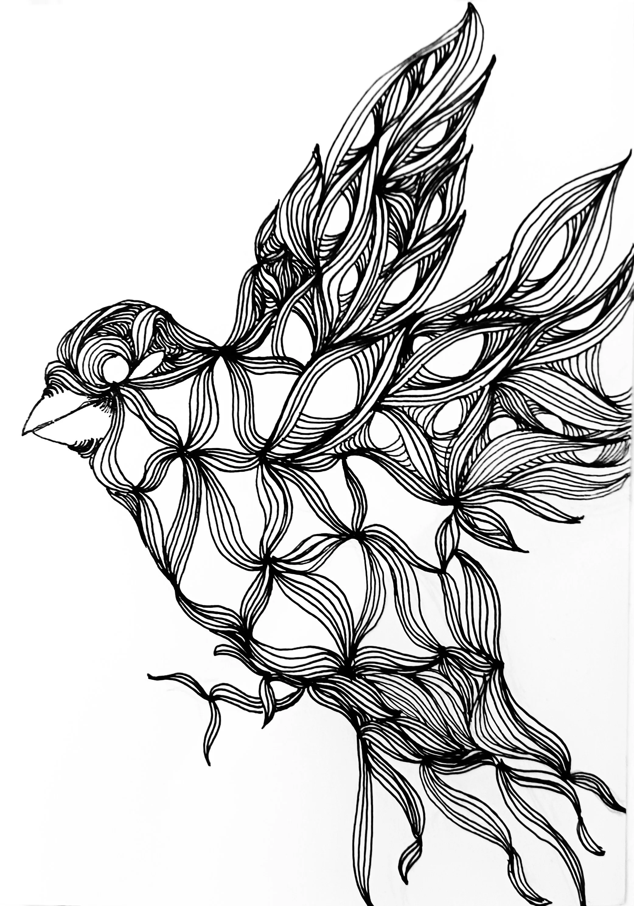 Black and white line drawing of a bird with stylized, feathered wings and tail, created with flowing, interconnected lines.