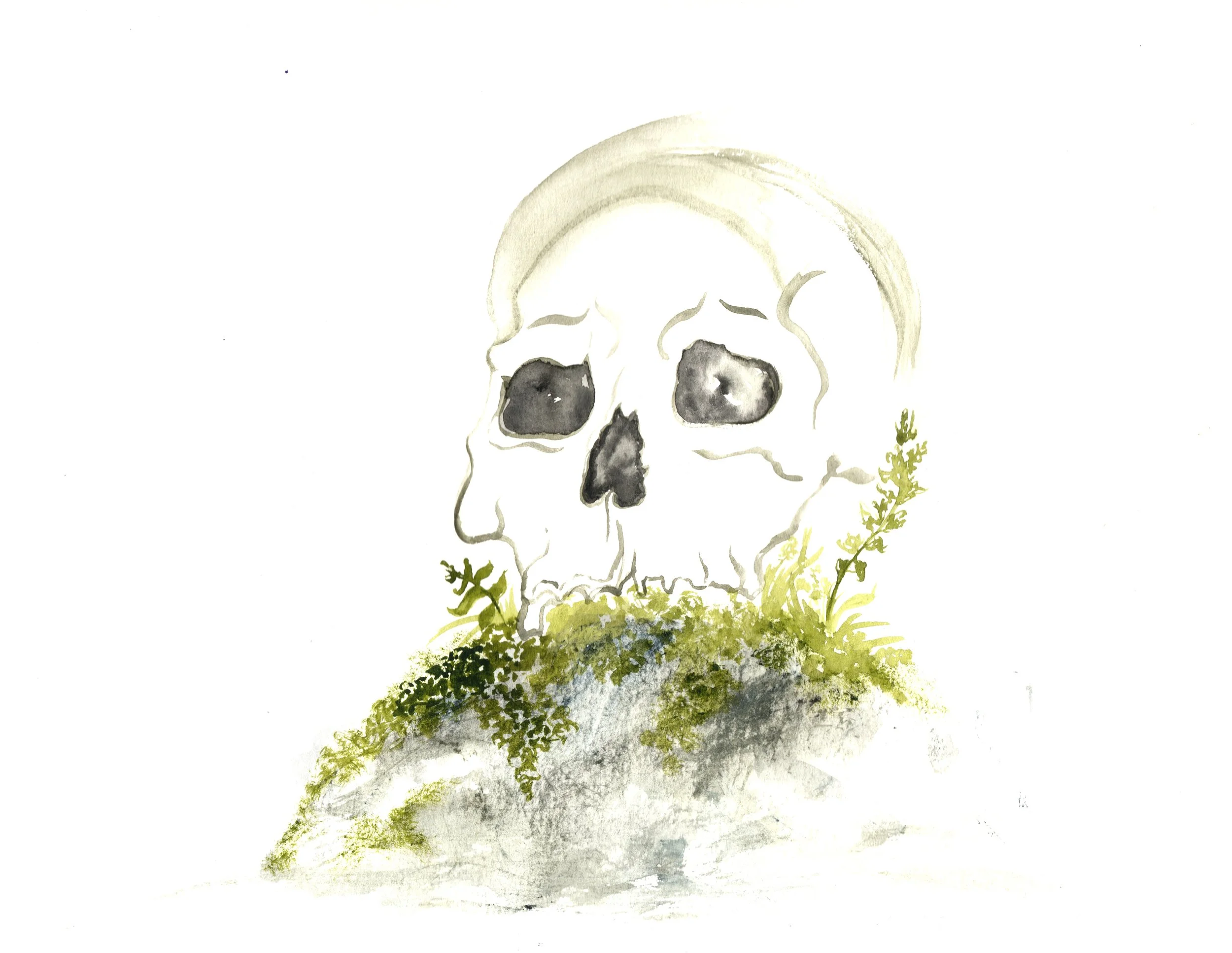 watercolor skull.jpg