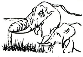elephantherd72.jpg