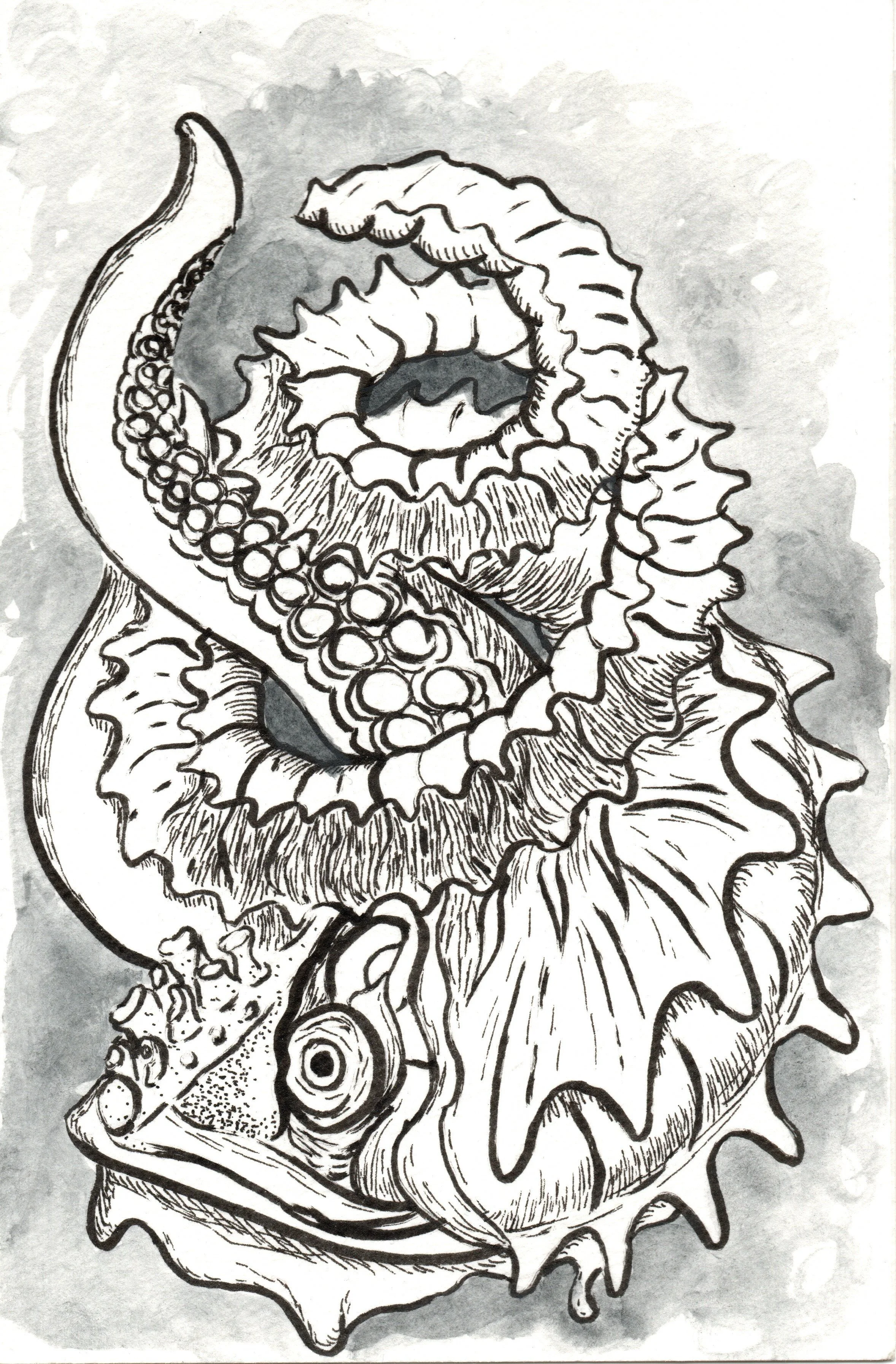 A black and white ink drawing of a curled-up sea monster with detailed scales and textured skin.