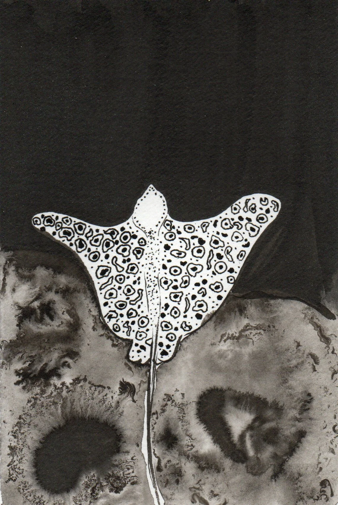 Black and white illustration of a stringray with a long tail, perched on a branch with blurred tree roots or rocks below.