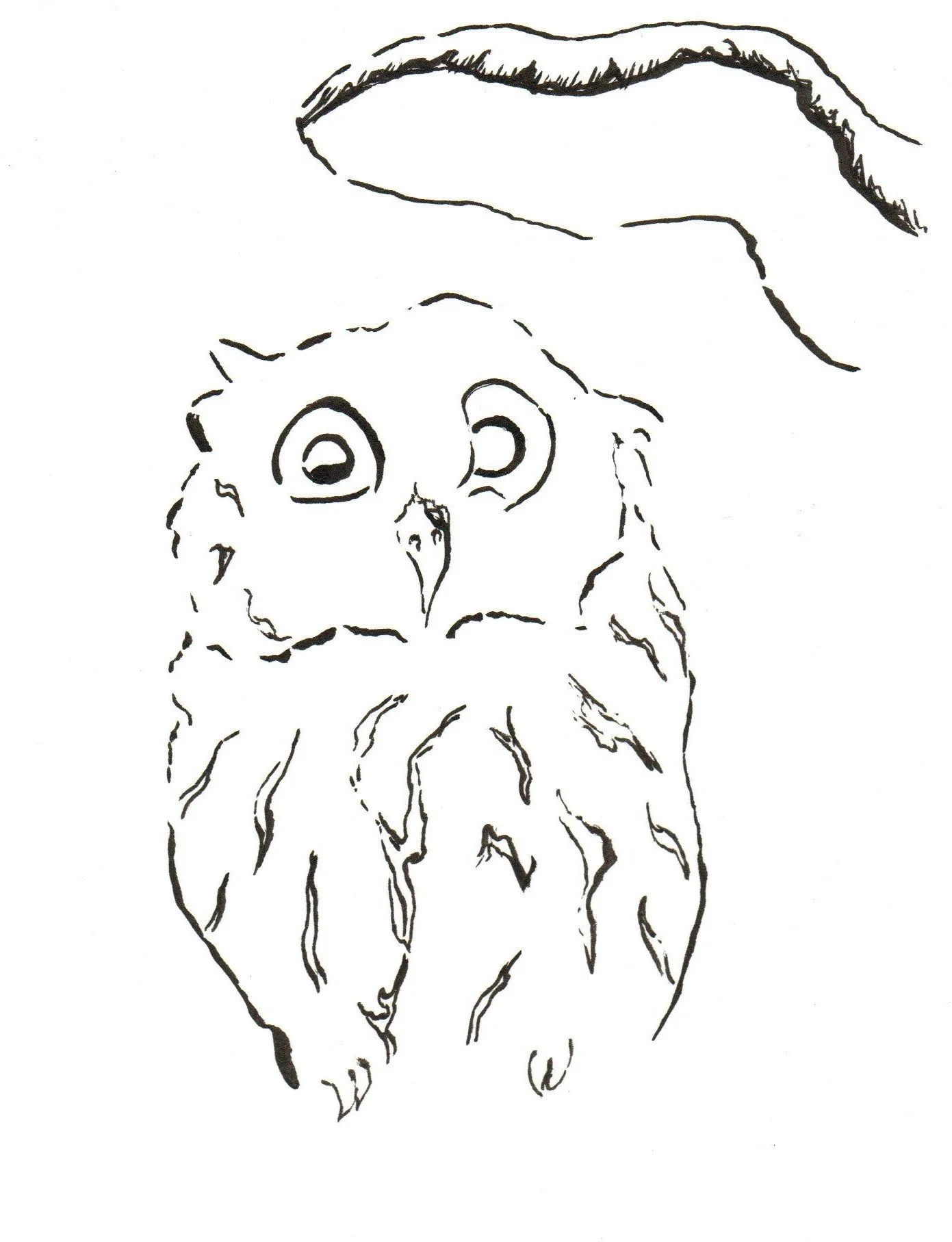 Black and white line drawing of an owl with large eyes and a feathered body, and a human hand above it.