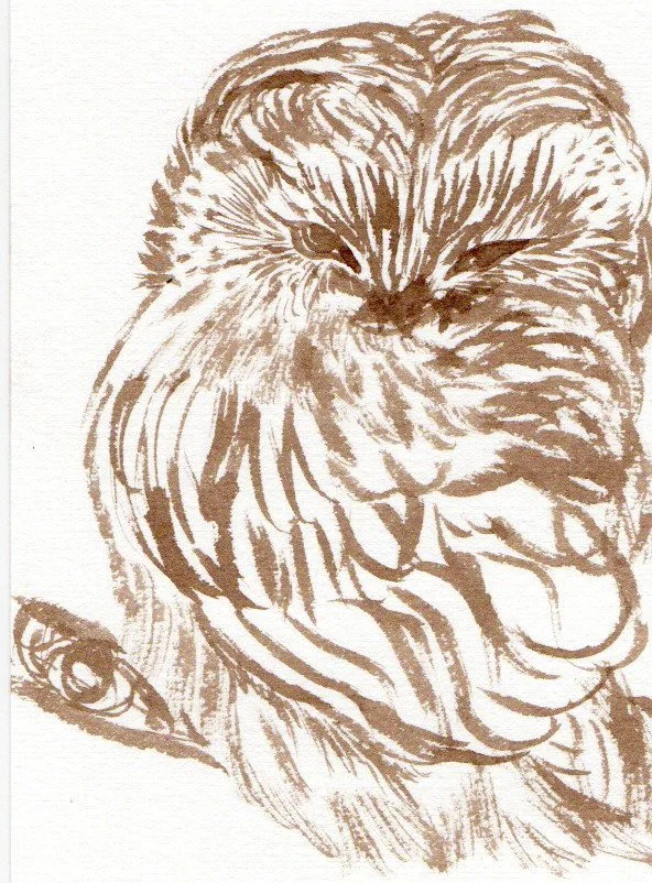 A detailed brown and white illustration of a owl's face, focusing on the eyes, nose, and mouth, with bold brush strokes.