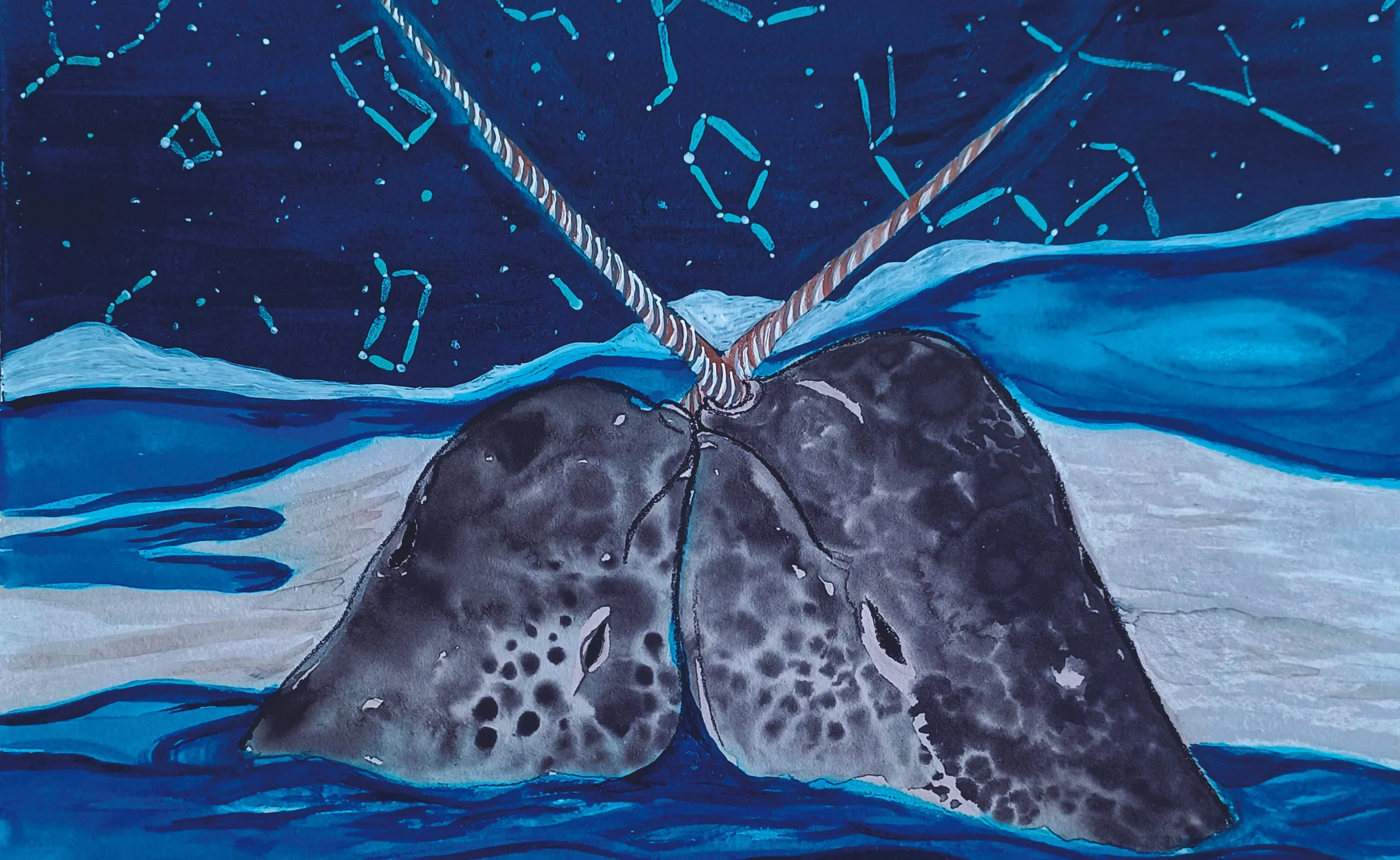 narwhalelove.jpg