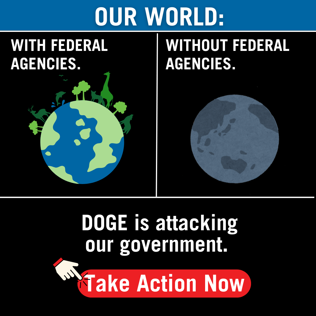 _Defend Democracy Images.png