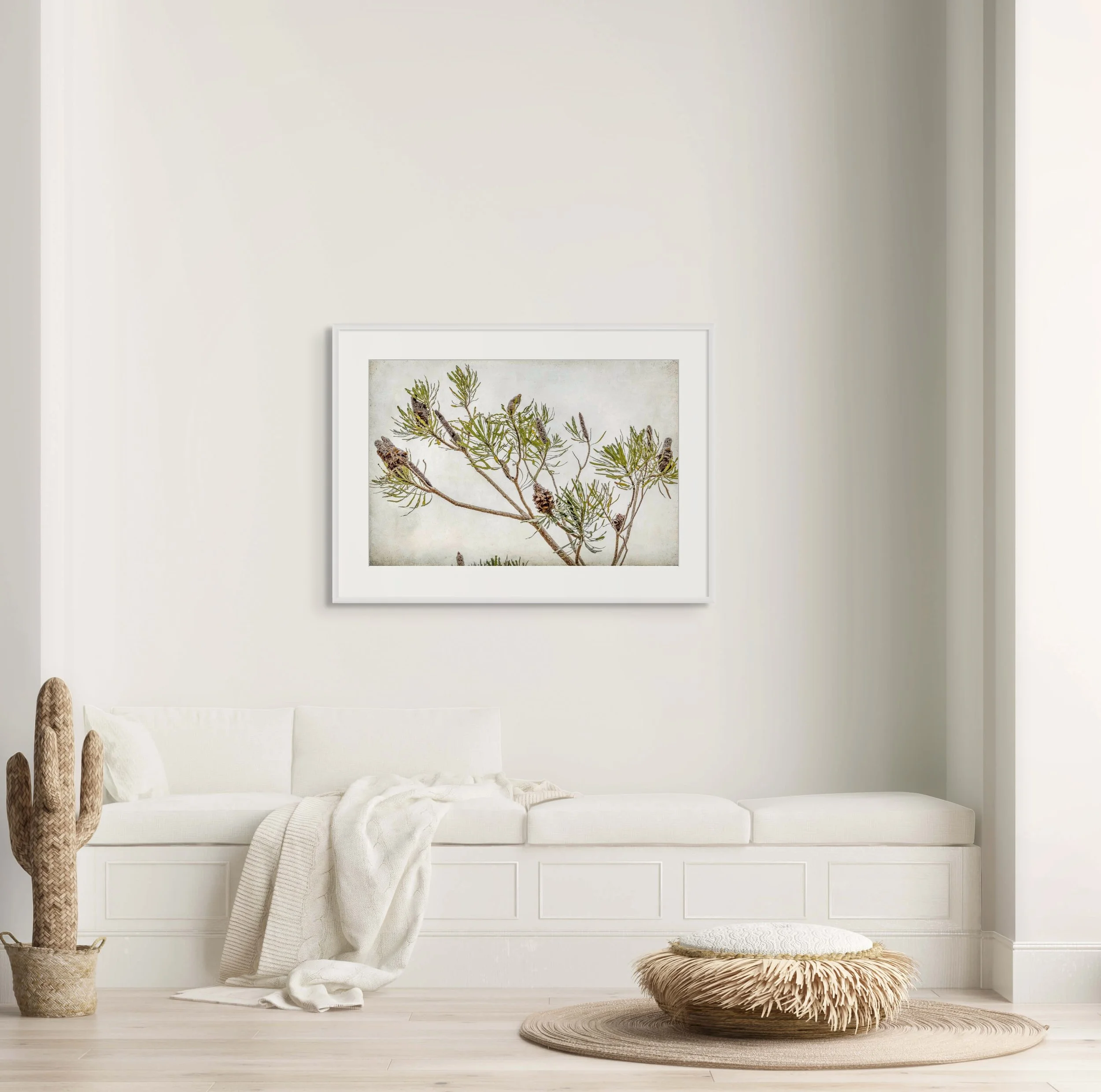australia botanical banksia cones wall art
