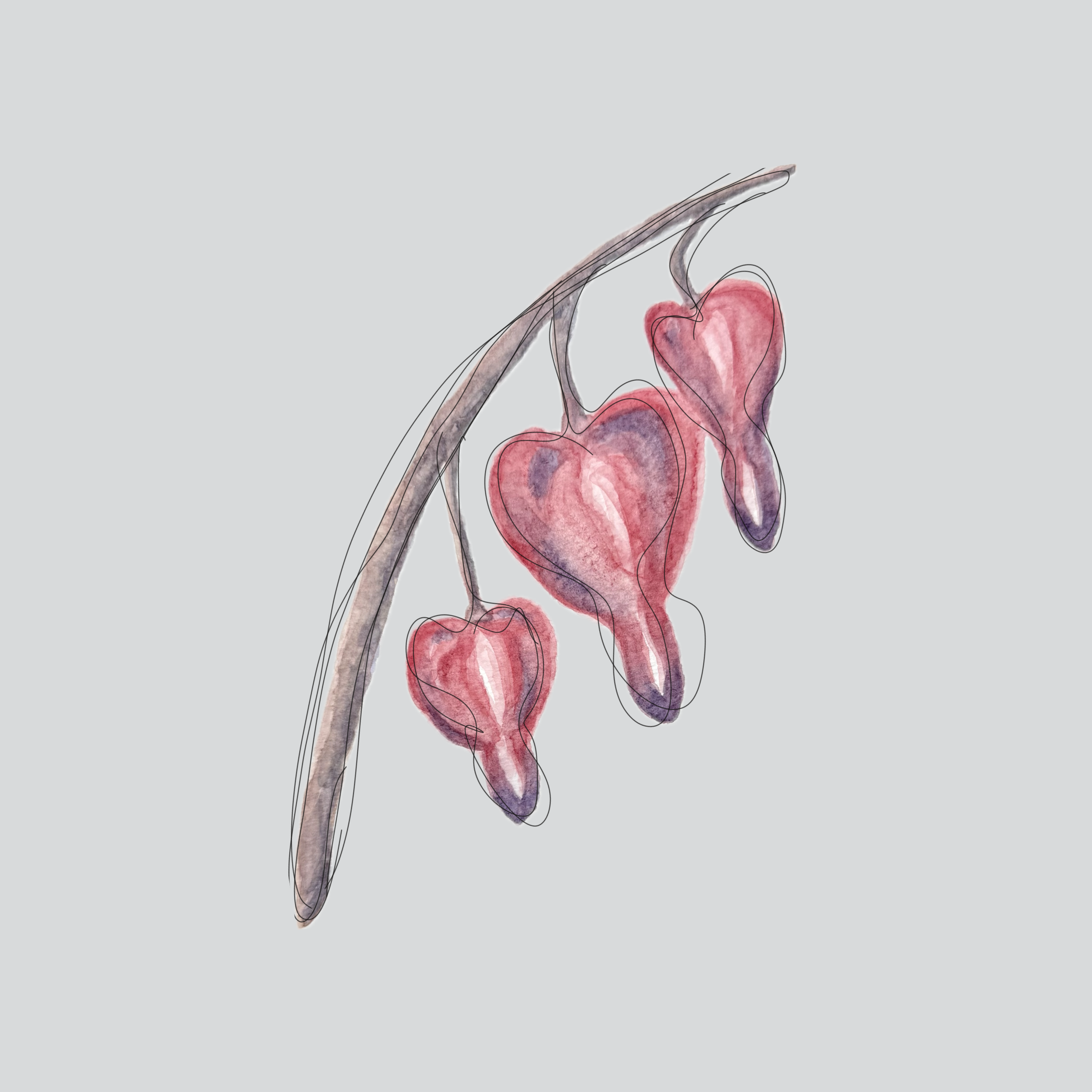 COMING SOON: 2024 Sangiovese