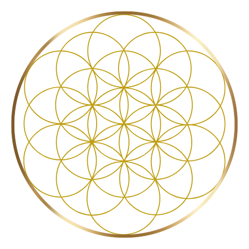 Design sans titre-2.png