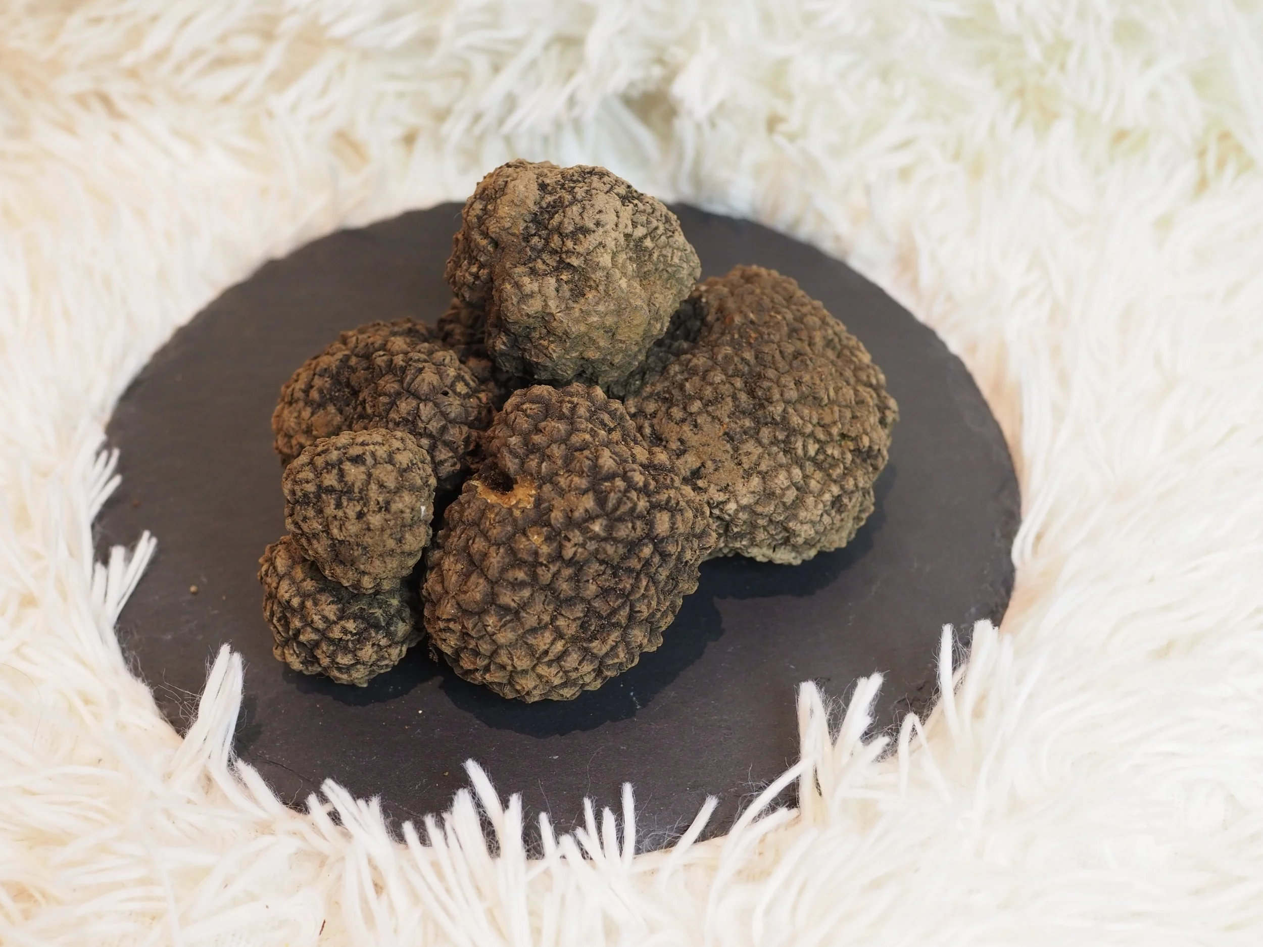 Trüffel bestellen