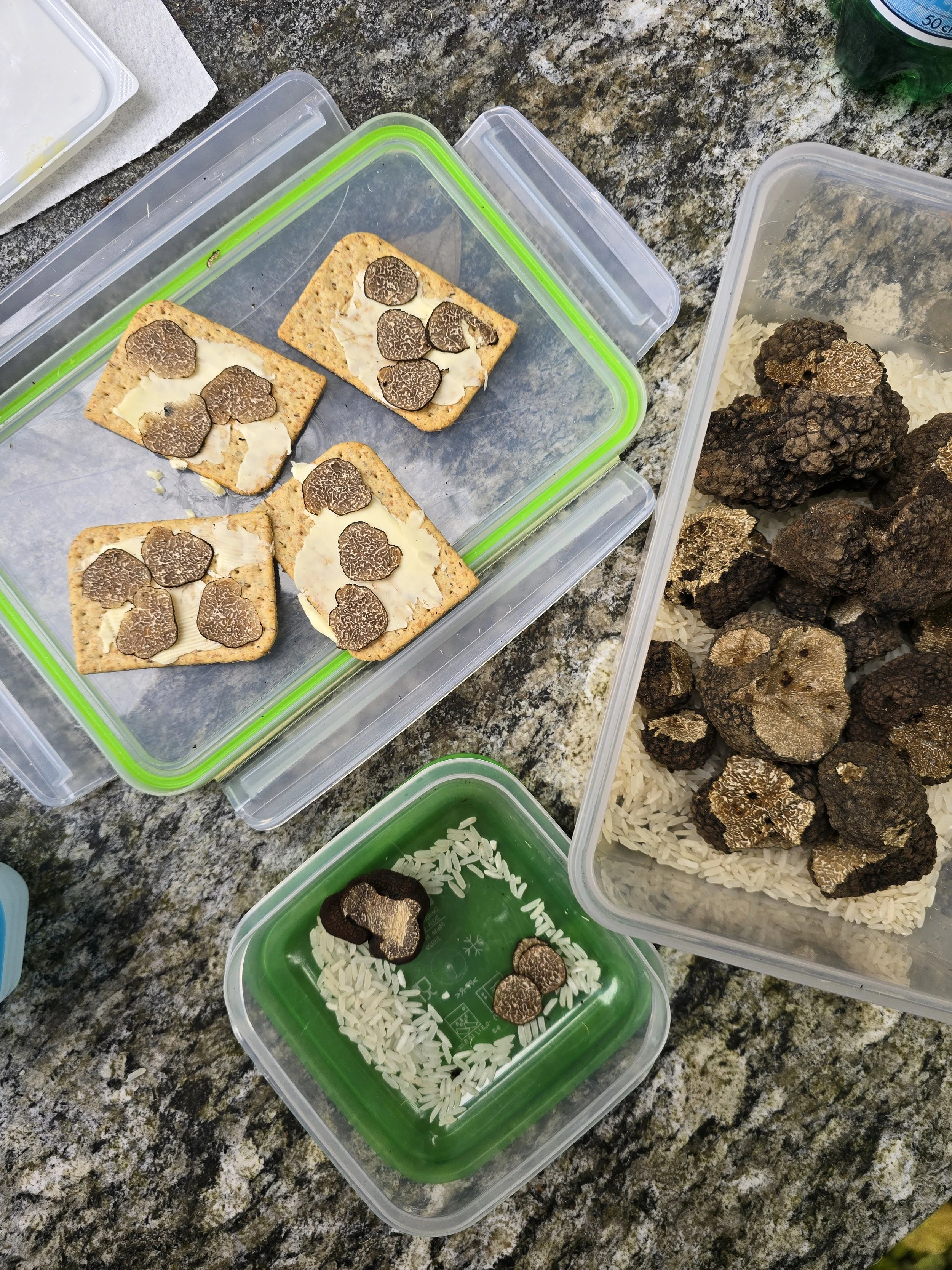 Trüffel Tour anmelden