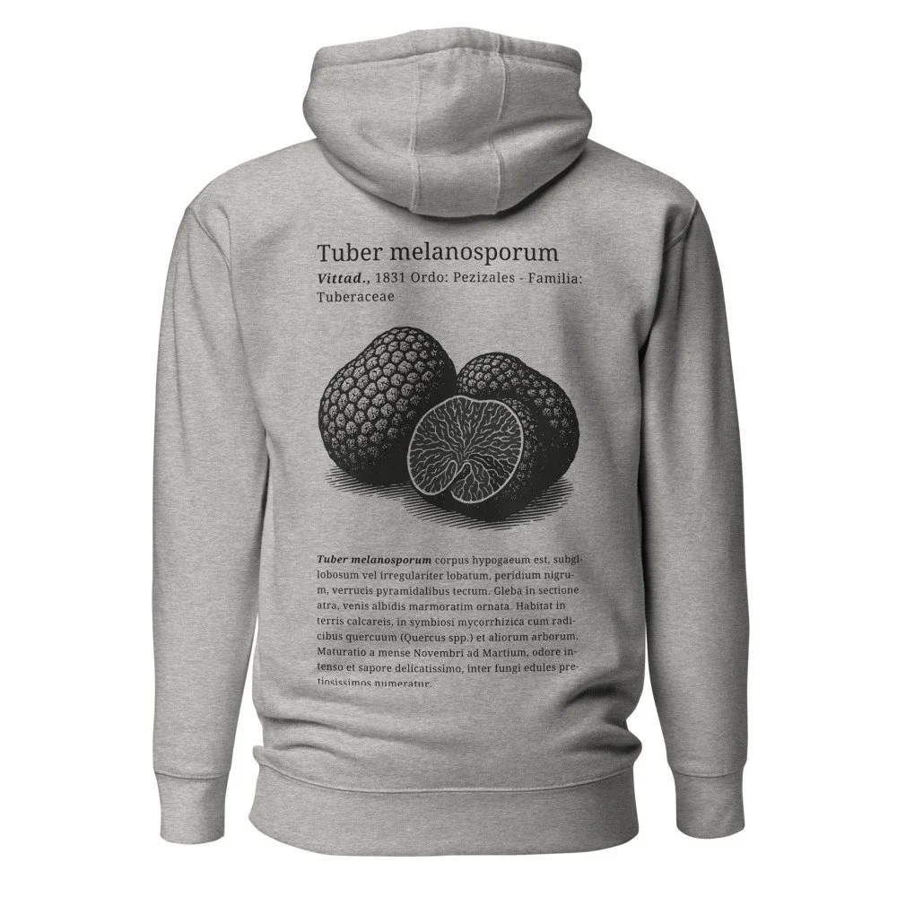 cotton-heritage-m2580-i-unisex-premium-pullover-hoodie-carbon-grey-back-68bec8eed7776.jpg