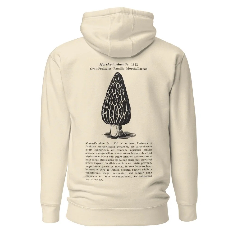 cotton-heritage-m2580-i-unisex-premium-pullover-hoodie-bone-back-68bec7d278ec2.jpg