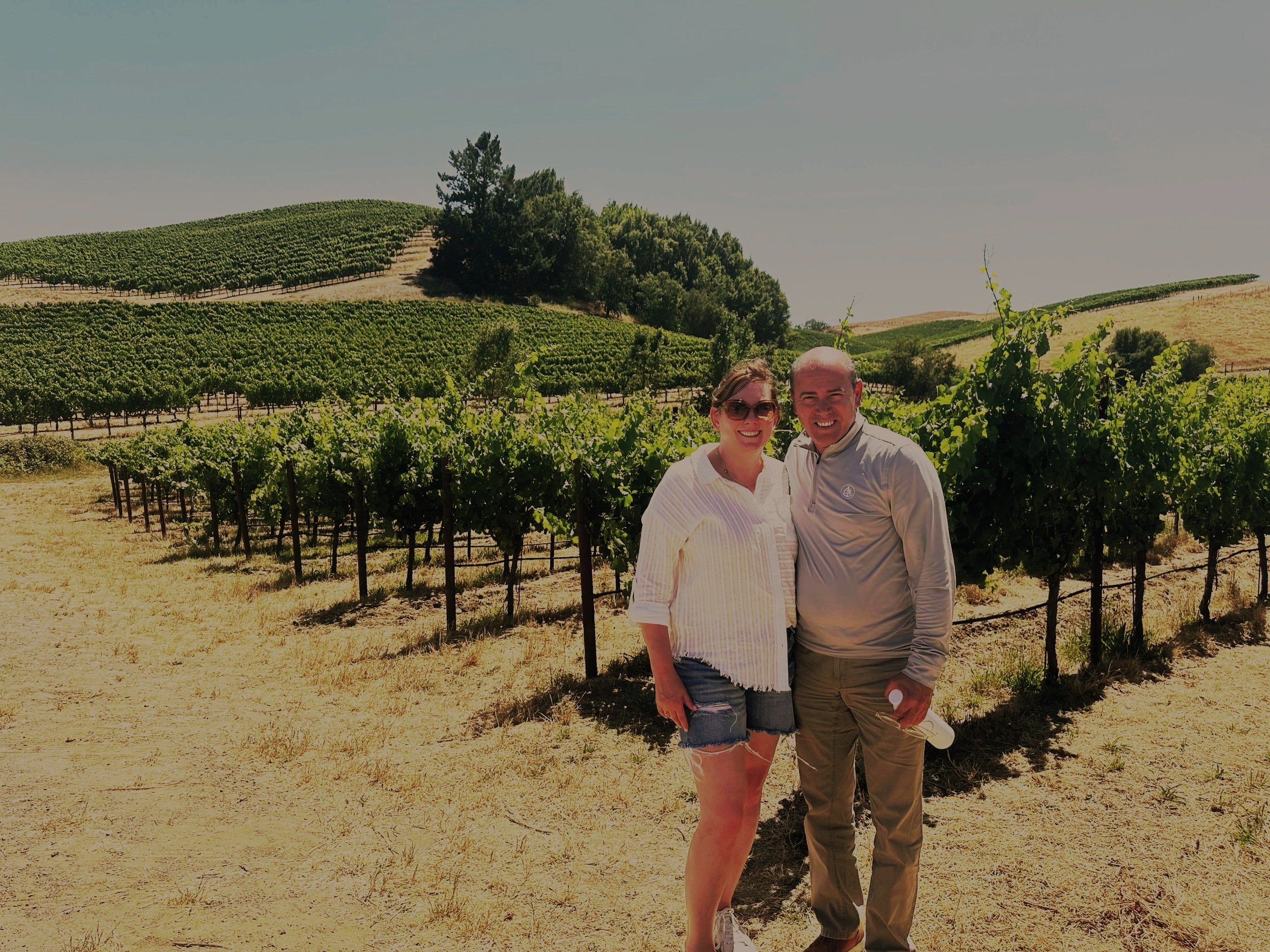 Winery vs. Vineyard - What’s the Difference?