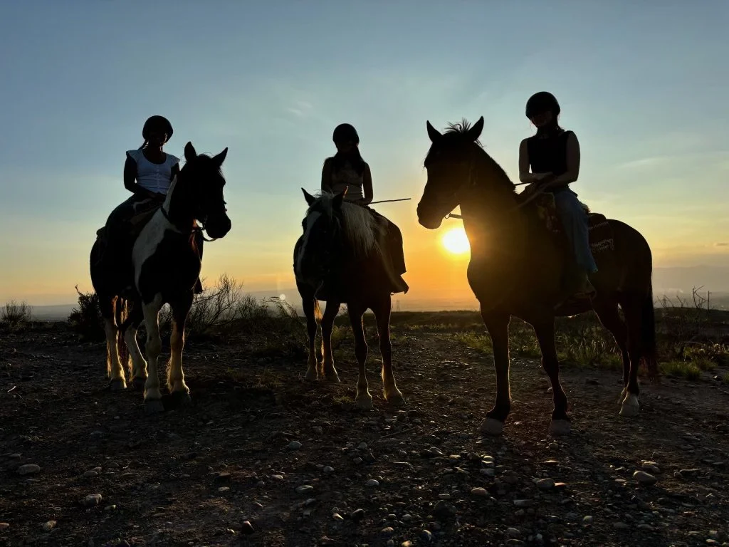 mendoza_horses.jpeg