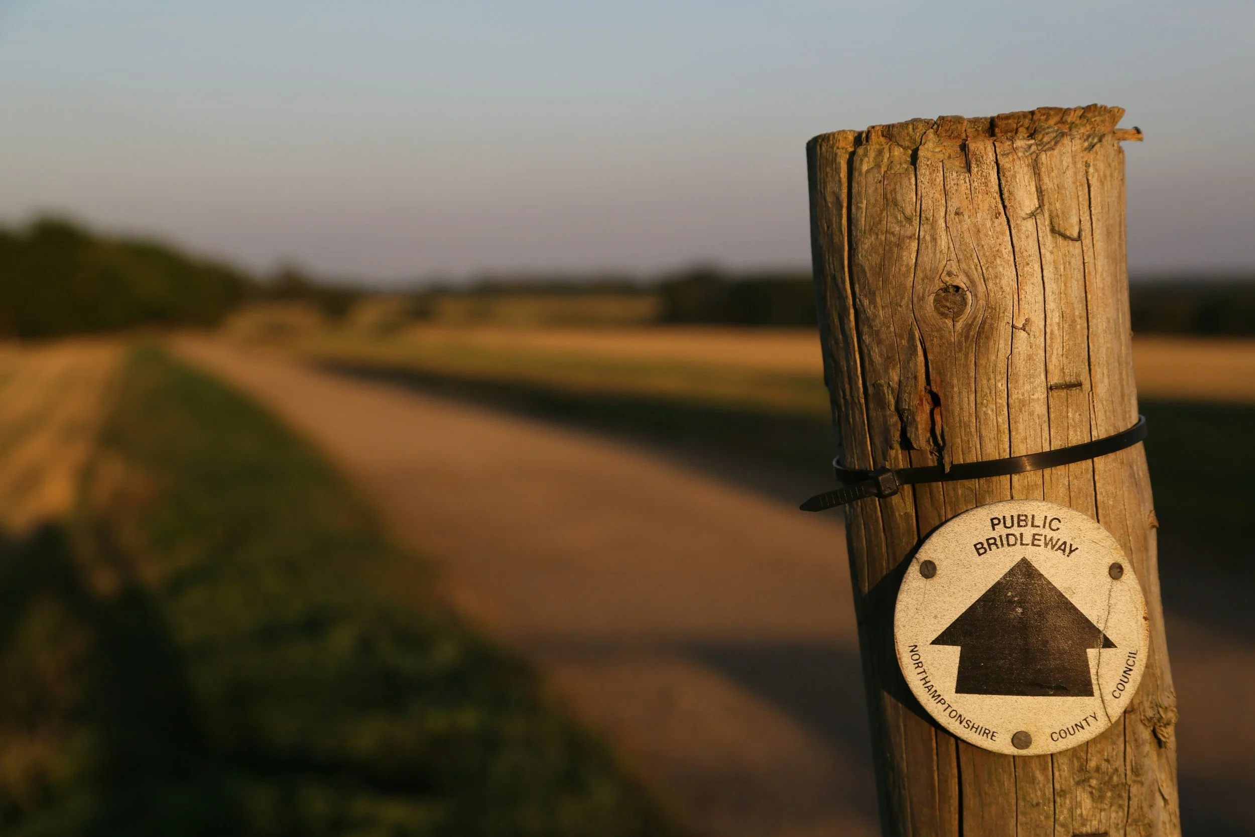 Holzpfosten mit Schild für öffentlich zugänglichen Reitweg, im Hintergrund ein Feldweg und Landschaft im Abendlicht.
