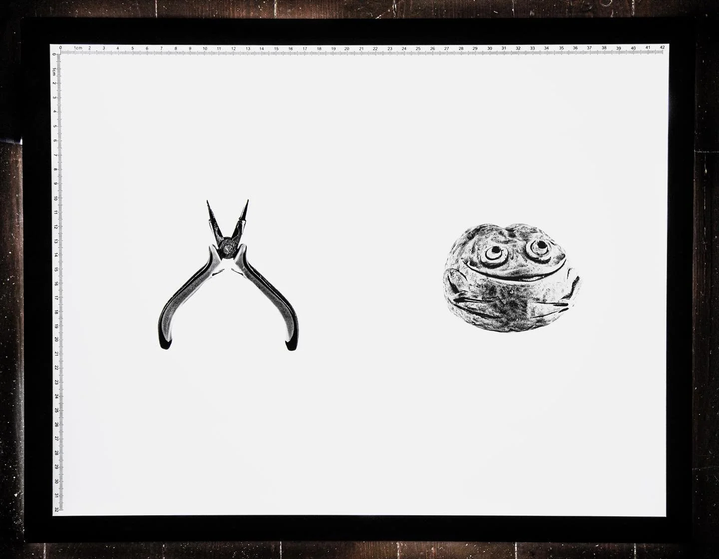 Function, No Function. 2025. 

This is my outcome from a 6 week live brief with the National Art Library in the V&amp;A, using research material found on my visit I&rsquo;ve constructed a rather clinical piece selecting modern day items to display as