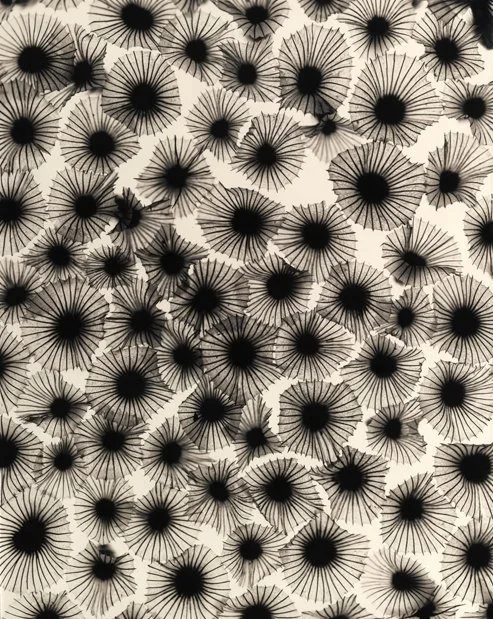 Artwork_Ron Saunders_pincushions-toned-comp_orig.jpg