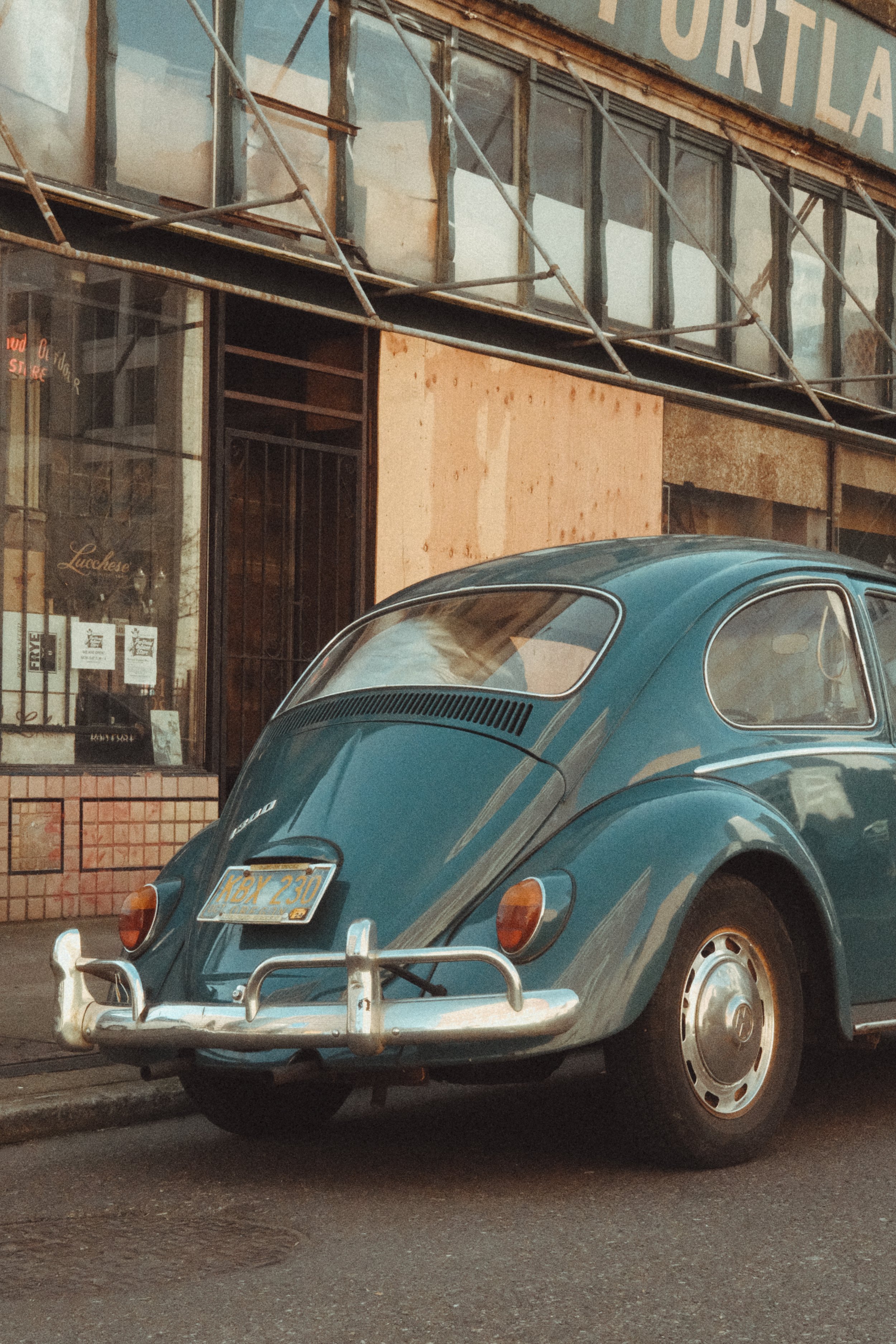 Blue bug. Portland 2024