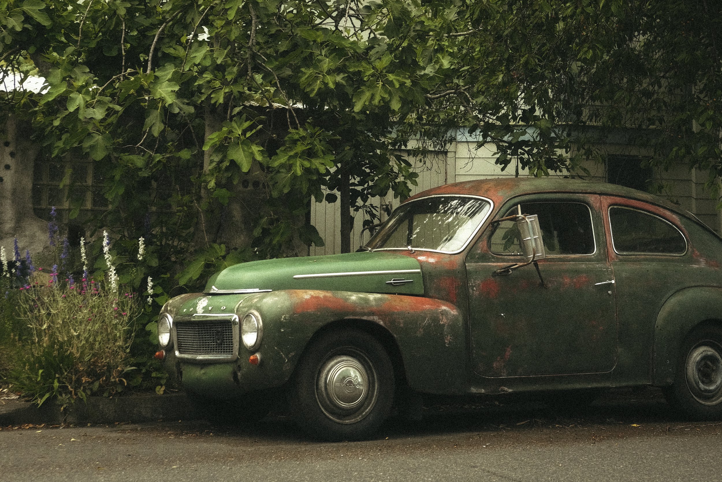 Green car. Portland 2024