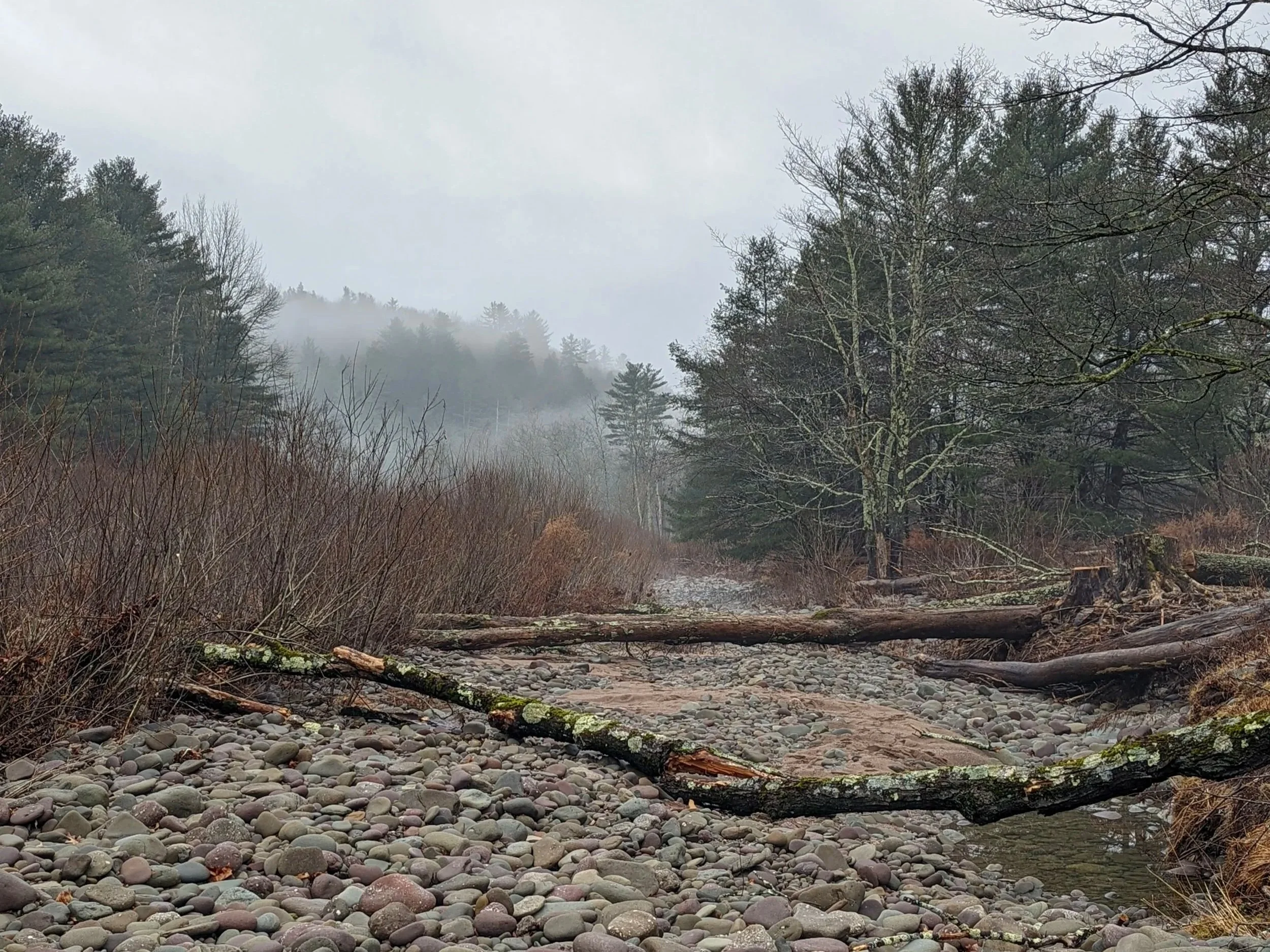 Misty riverbank scene representing mindfulness, grounding, and embodied healing in Somatic and Bottom-Up trauma therapy at Illuminated Pathways, Philadelphia Pennsylvania.