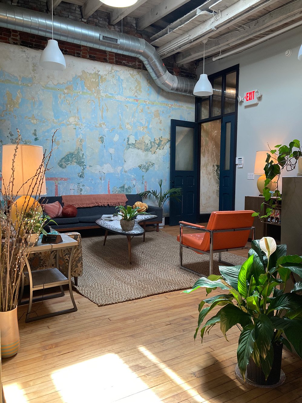 Warm and inviting Philadelphia therapy office with modern furniture and plants, reflecting a calm and healing space at Illuminated Pathways.