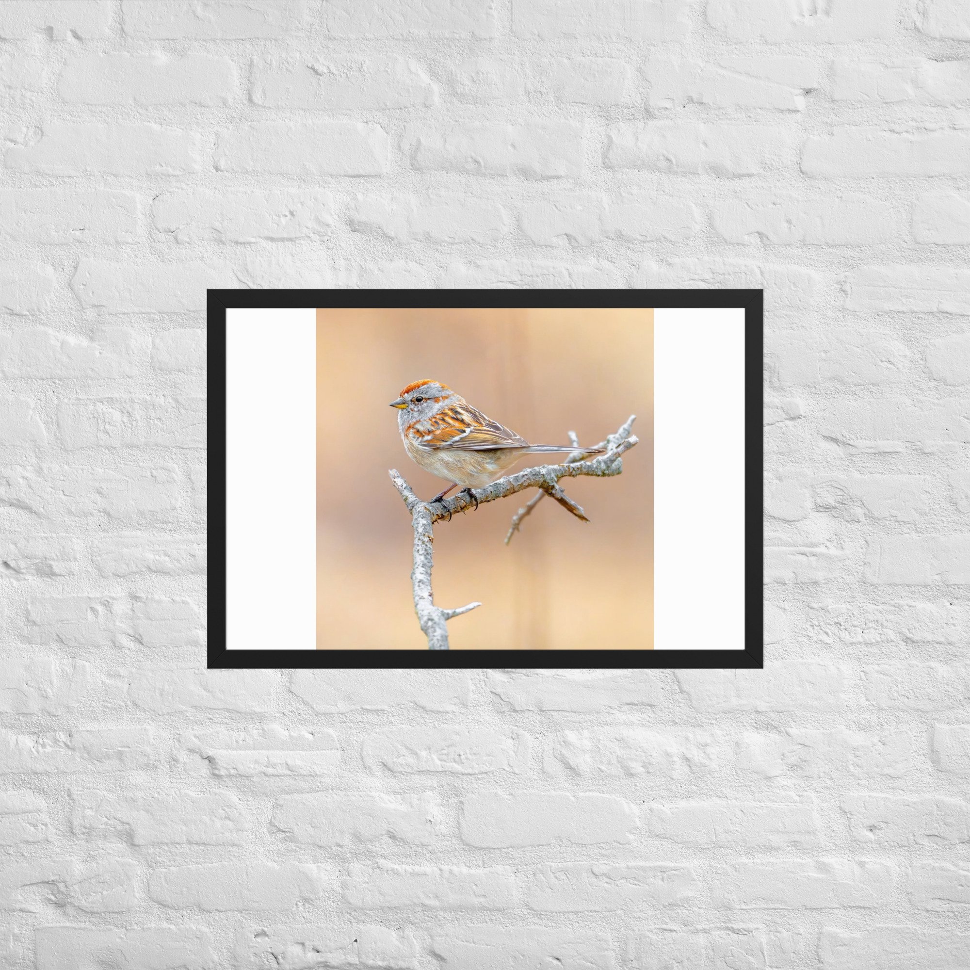 enhanced-matte-paper-framed-poster-(in)-black-20x30-front-67fbebcb232d8.jpg