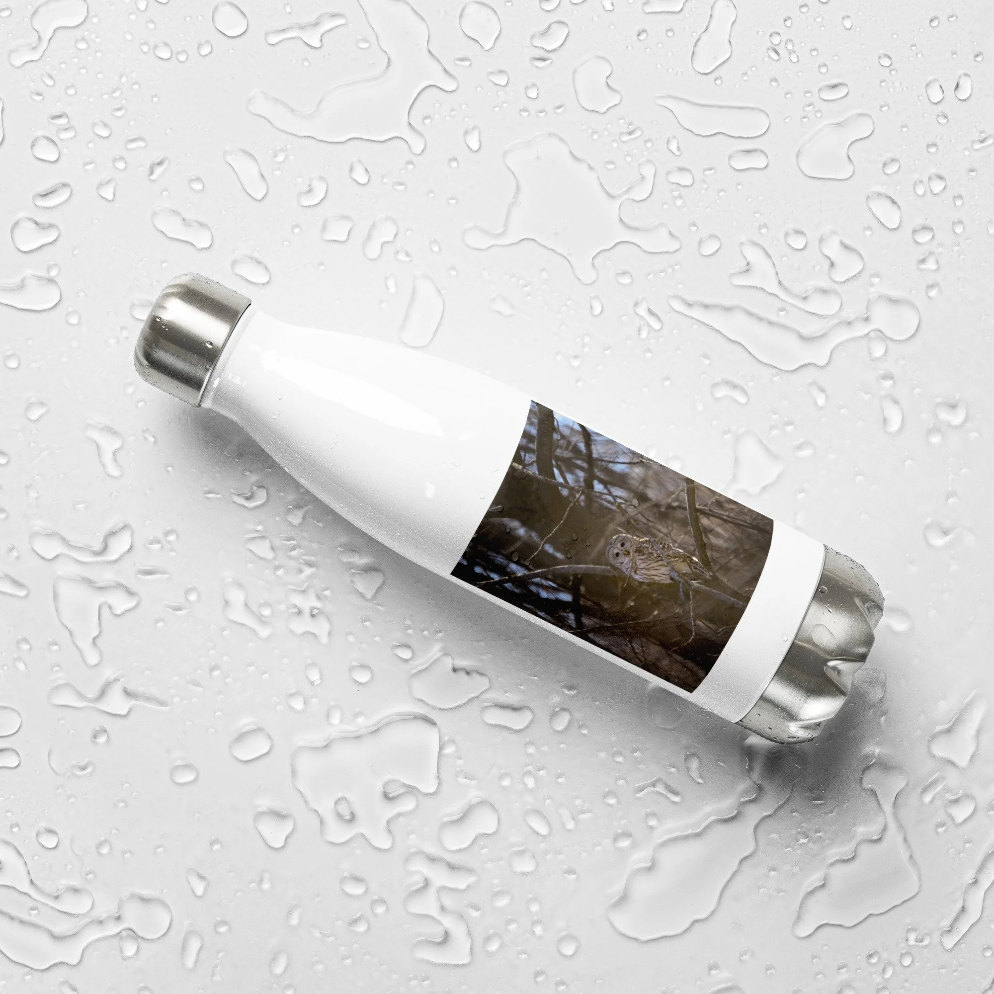 stainless-steel-water-bottle-white-17-oz-front-2-680037294fba8.jpg