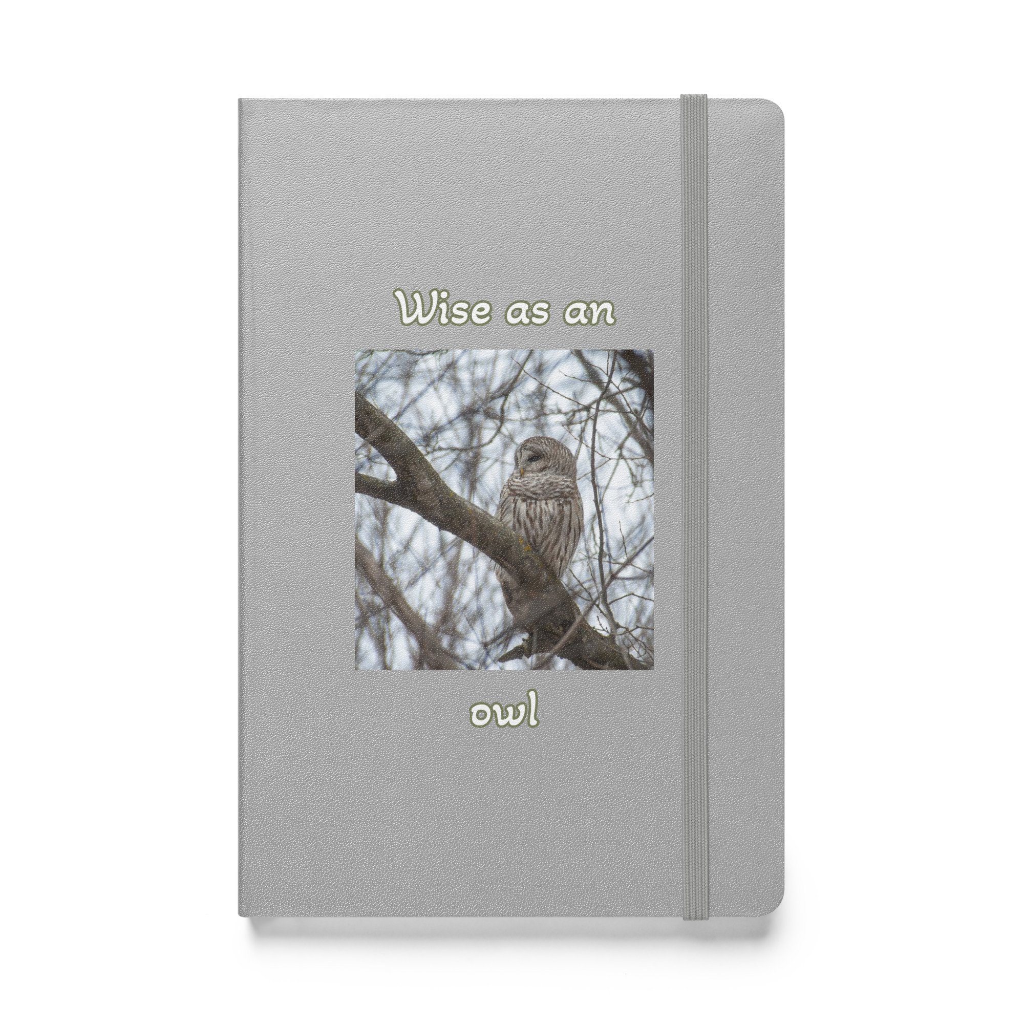 hardcover-bound-notebook-silver-front-68004477775cf.jpg