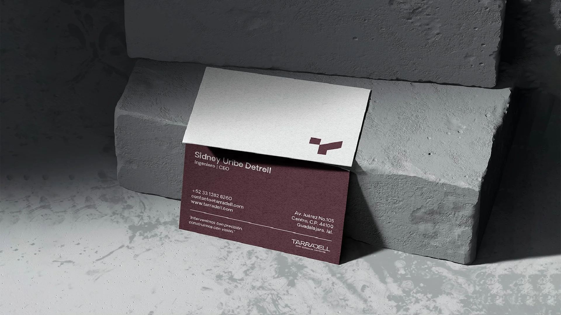 BrandGuide Terradell-24.jpg